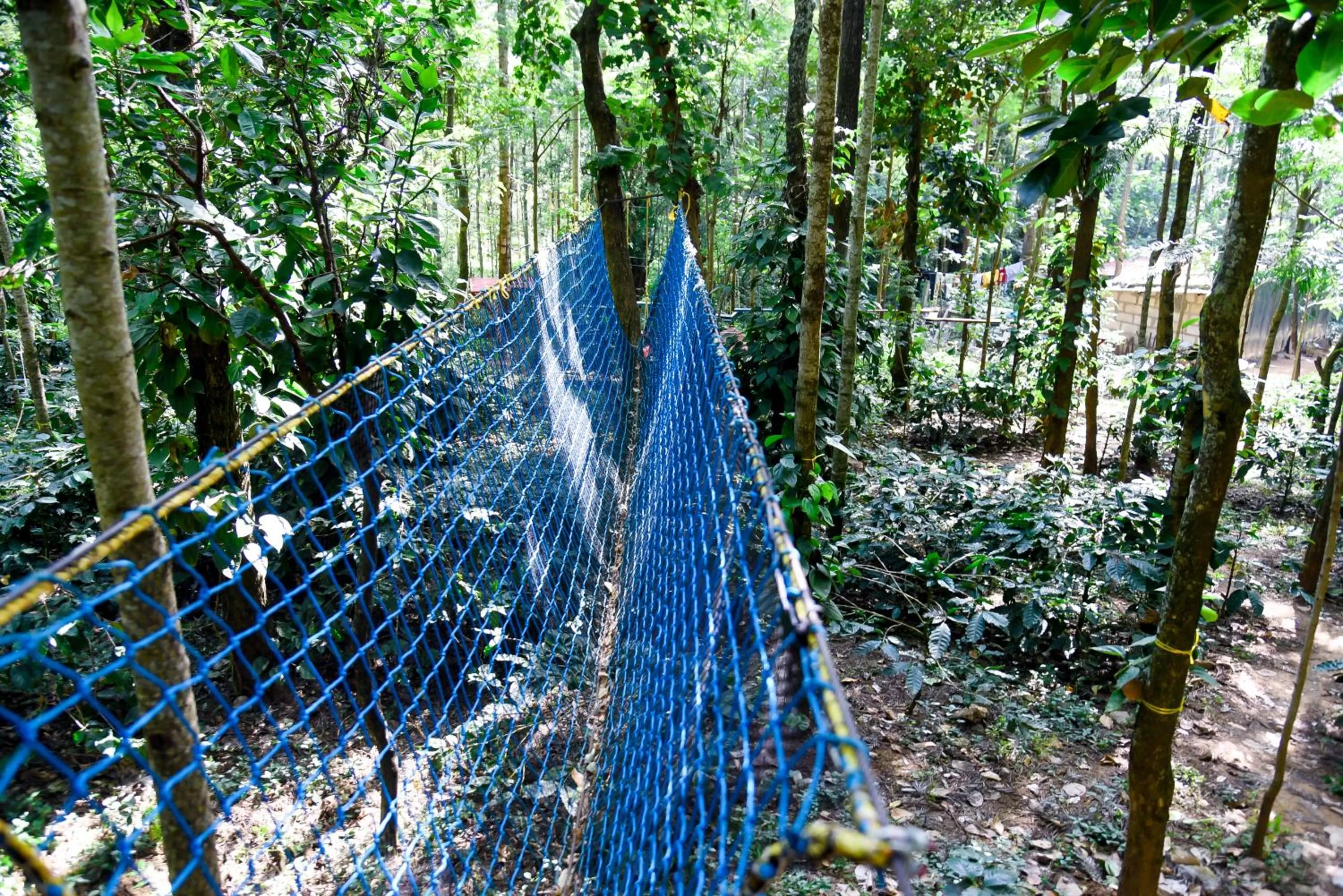 Activities in The Spectrum Resort - Chikmagalur