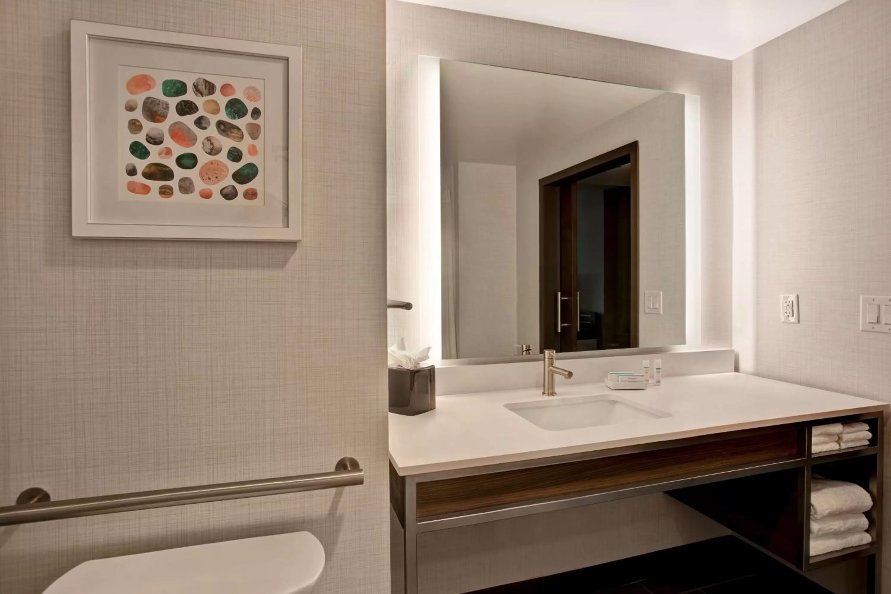 Bathroom in Hilton Garden Inn Summerville, Sc