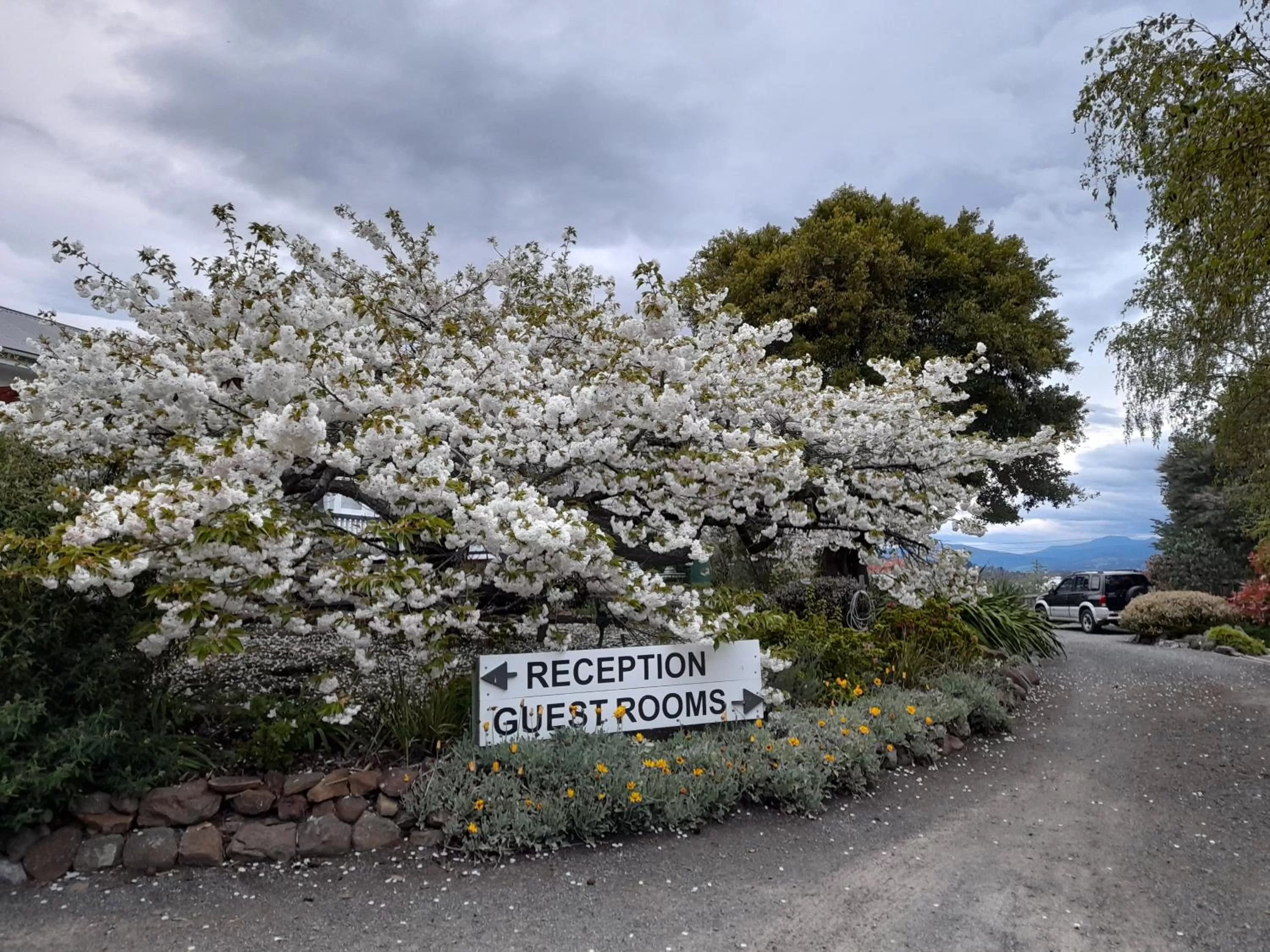 Hillside Bed and Breakfast