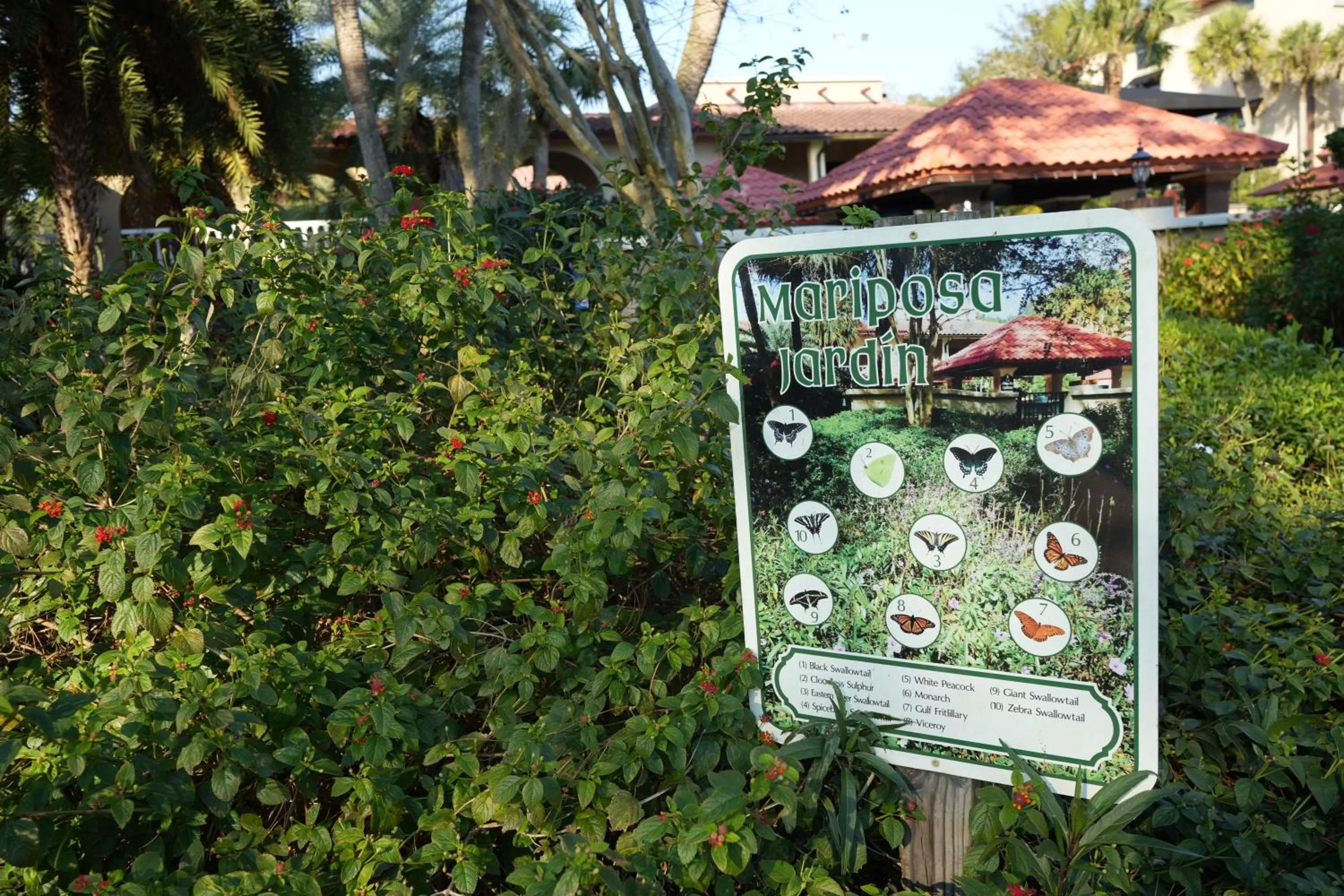 Other in Mission Resort and Club