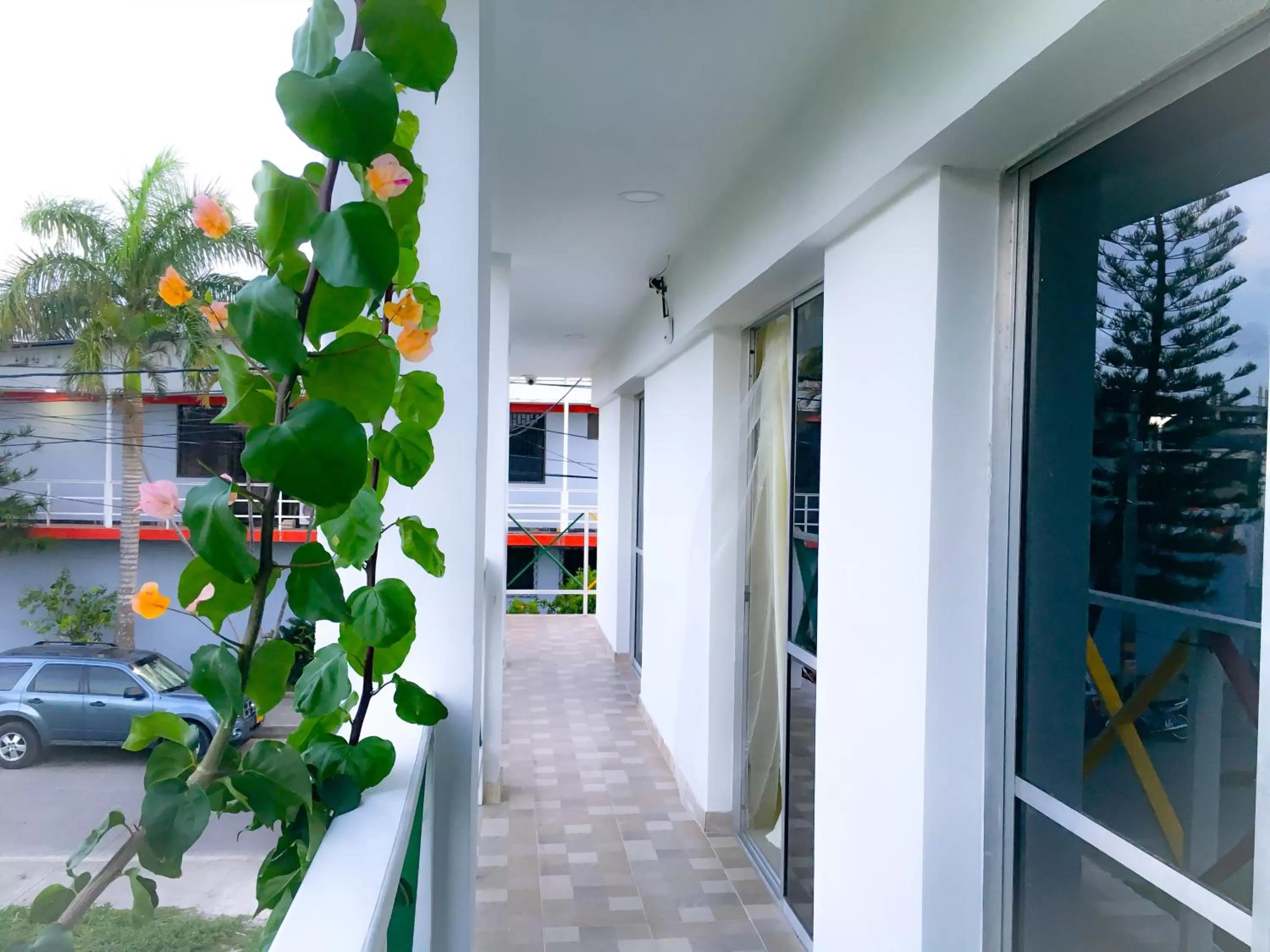 Posada Miss Joyce House