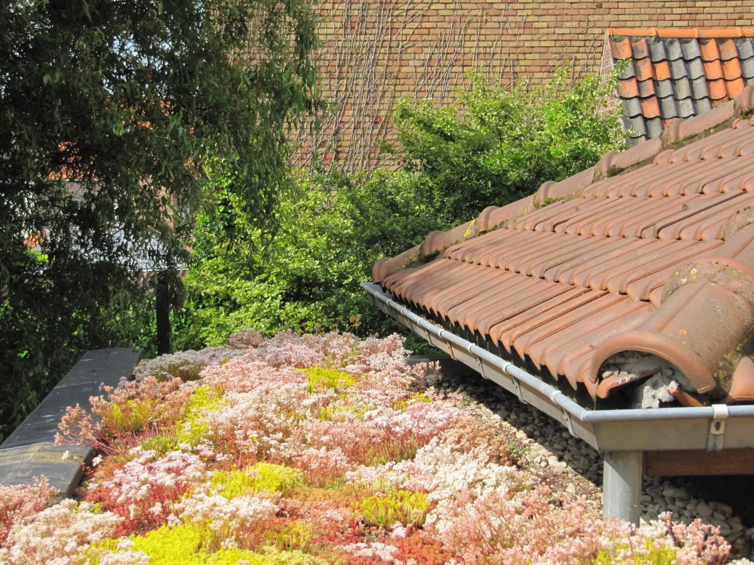 Garden view in Hotel Fevery