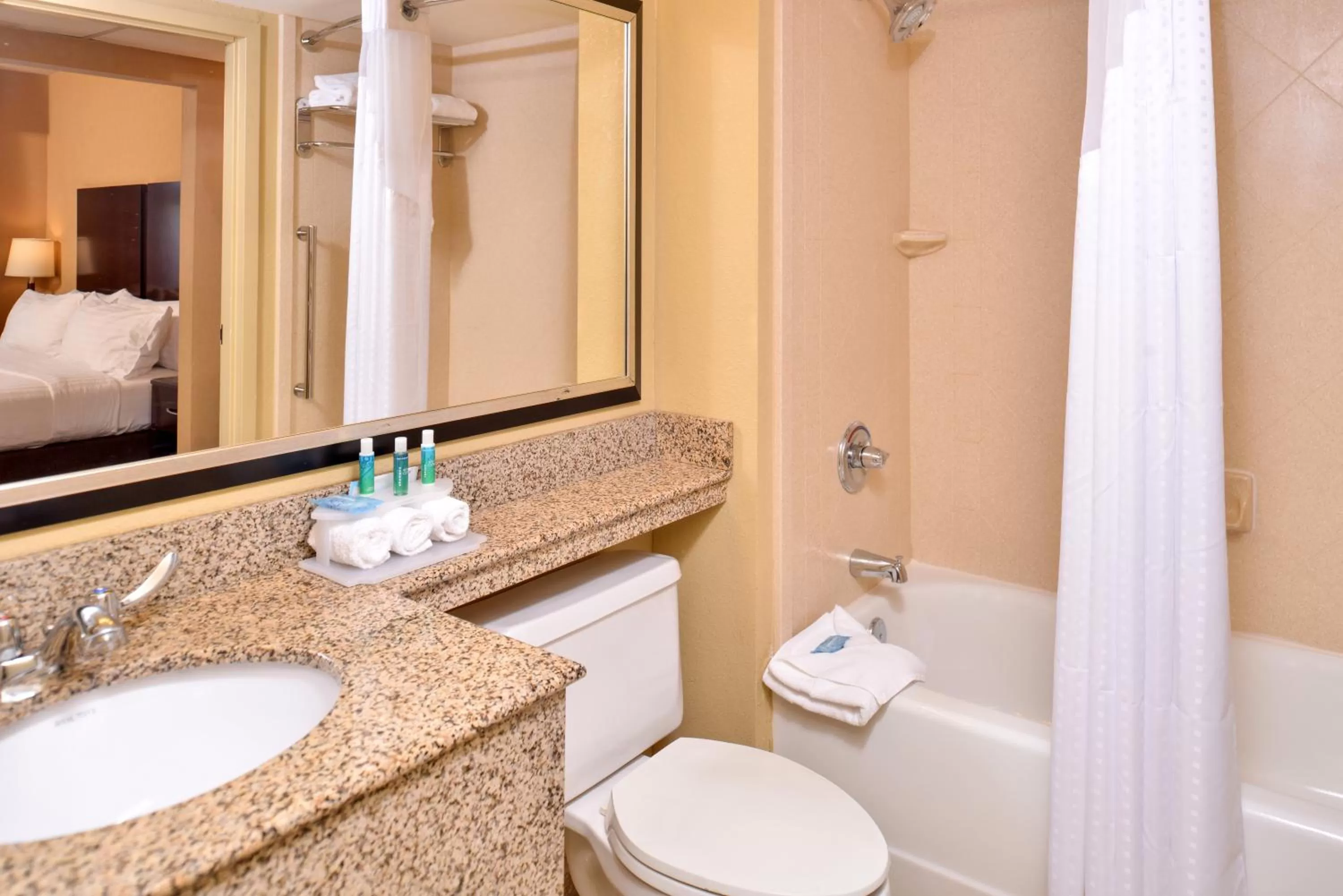 Bathroom, Bed in Holiday Inn Express & Suites Buffalo Downtown by IHG