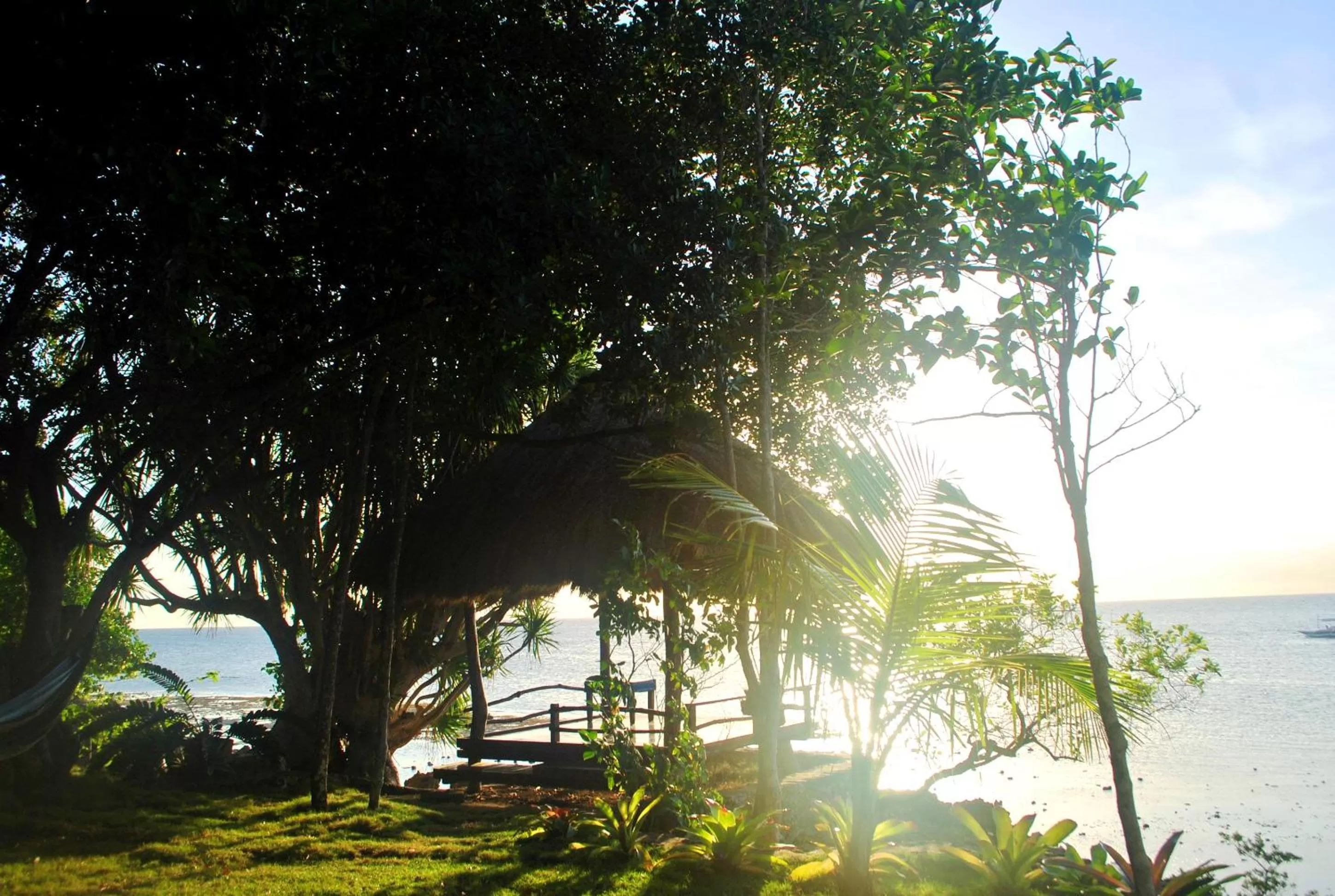 Day in The Blue Orchid Resort