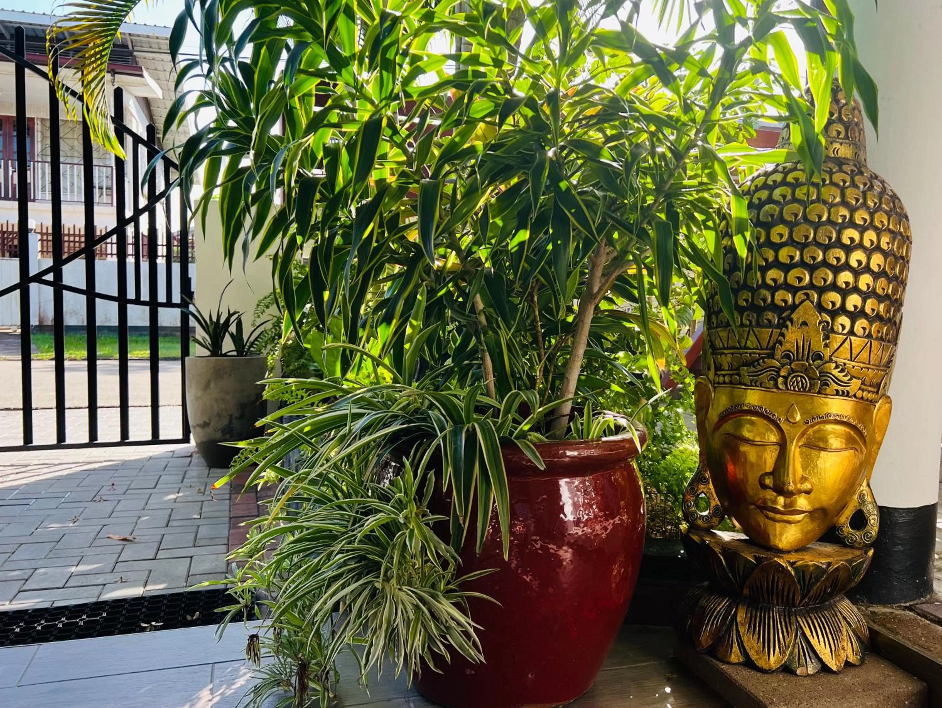 Day in Villa Famiri Boutique hotel