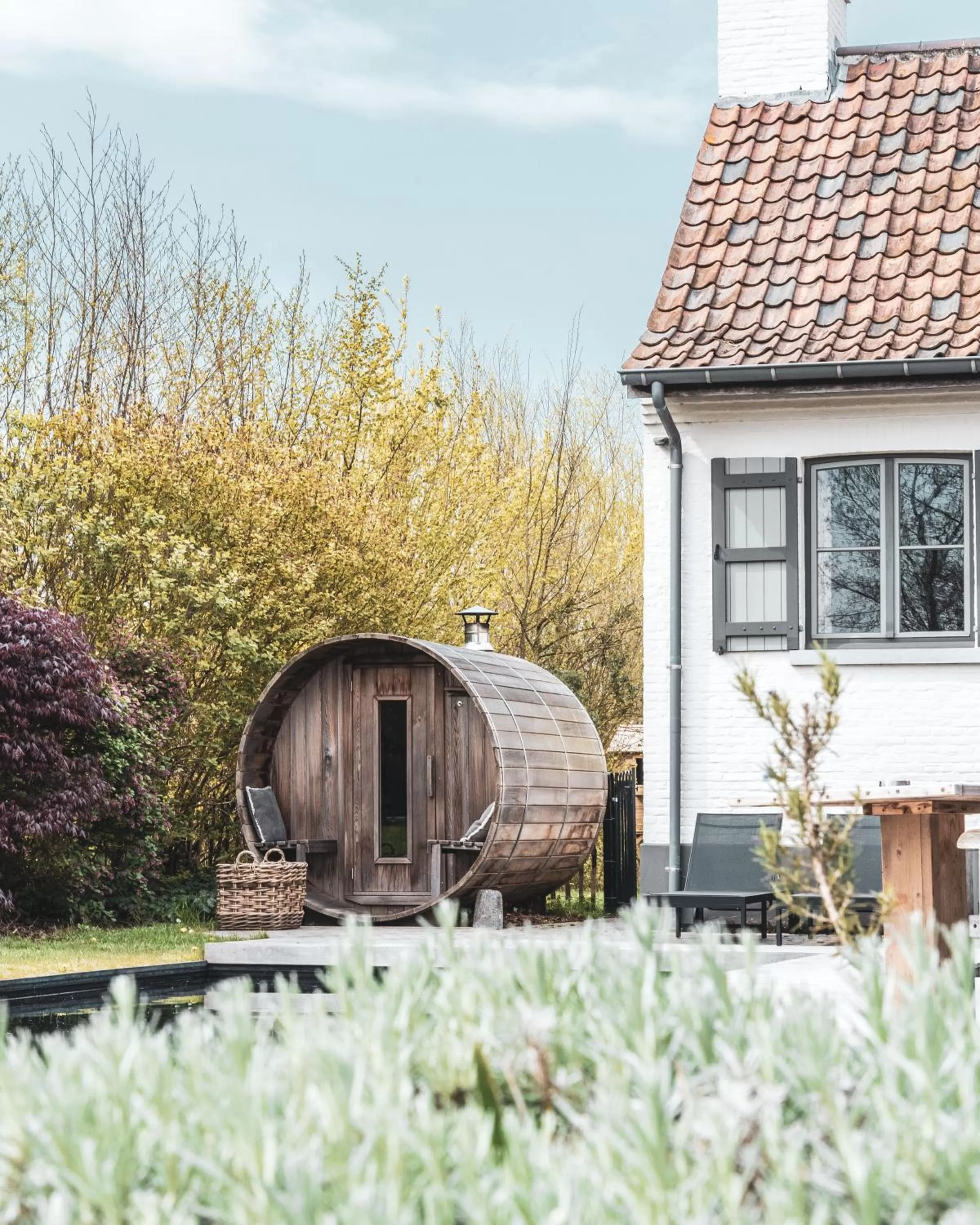 Garden in B&B Extra Verte