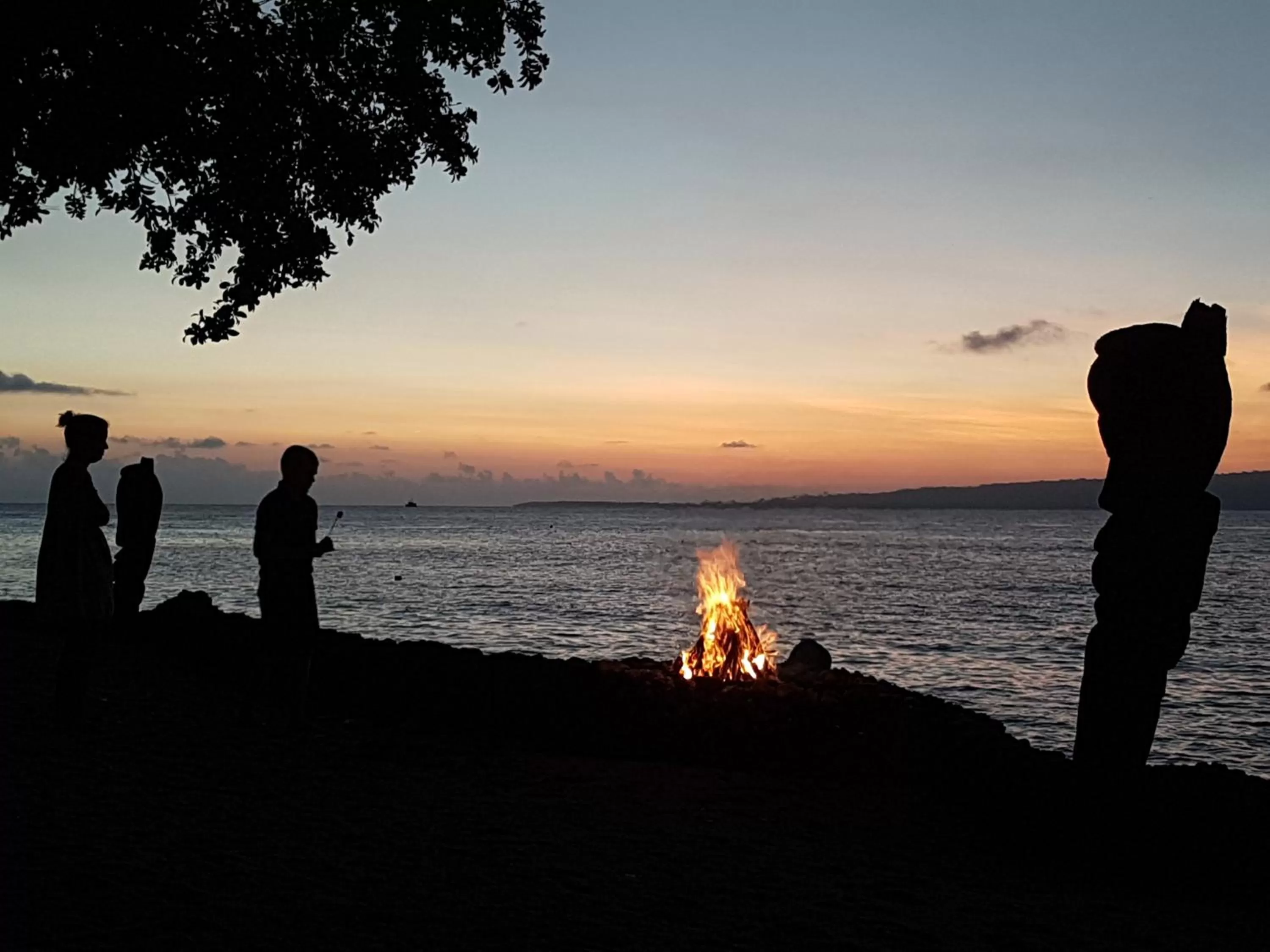 Beach in Paradise Cove Resort
