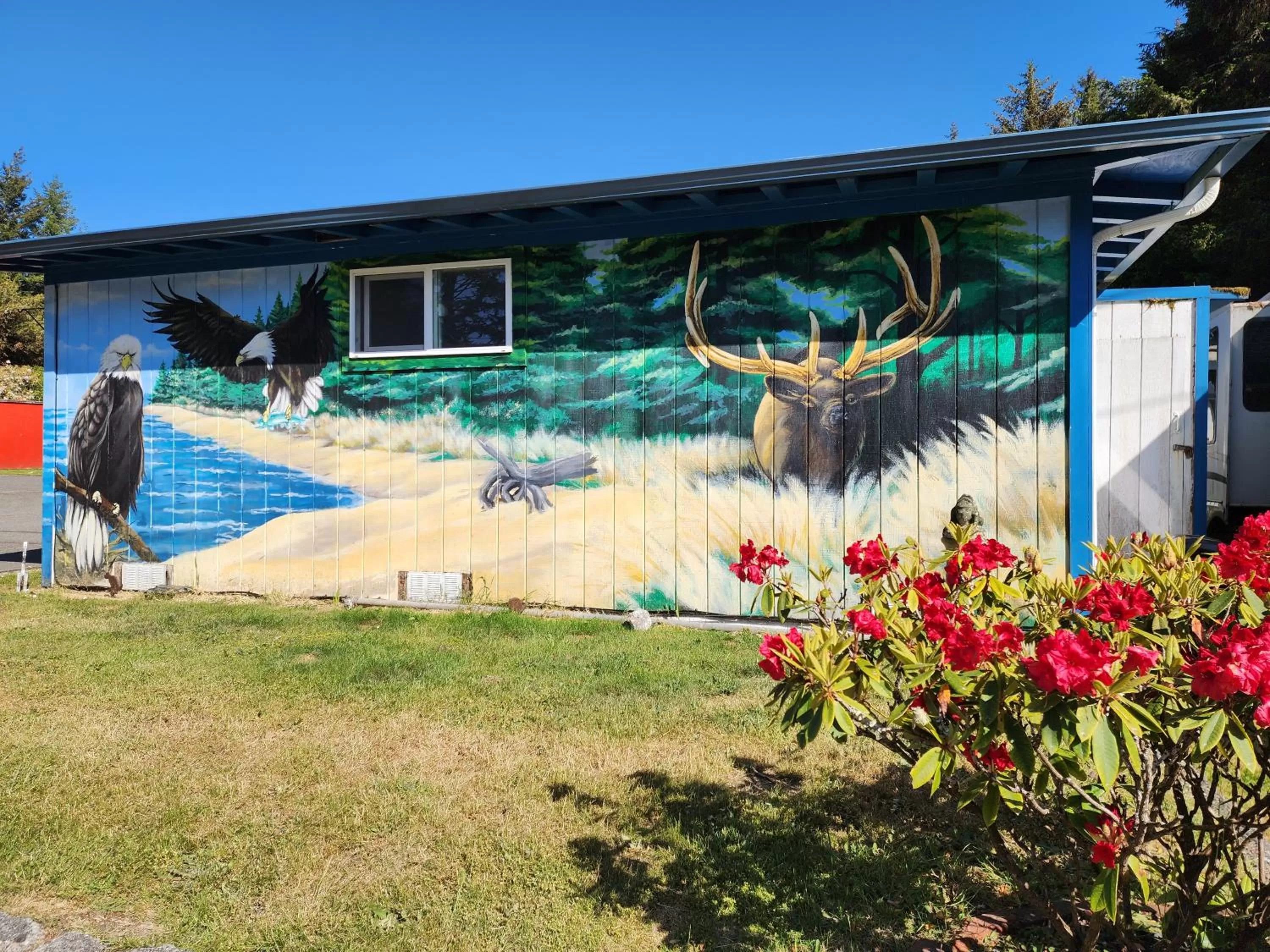 Property building in Plainview Motel