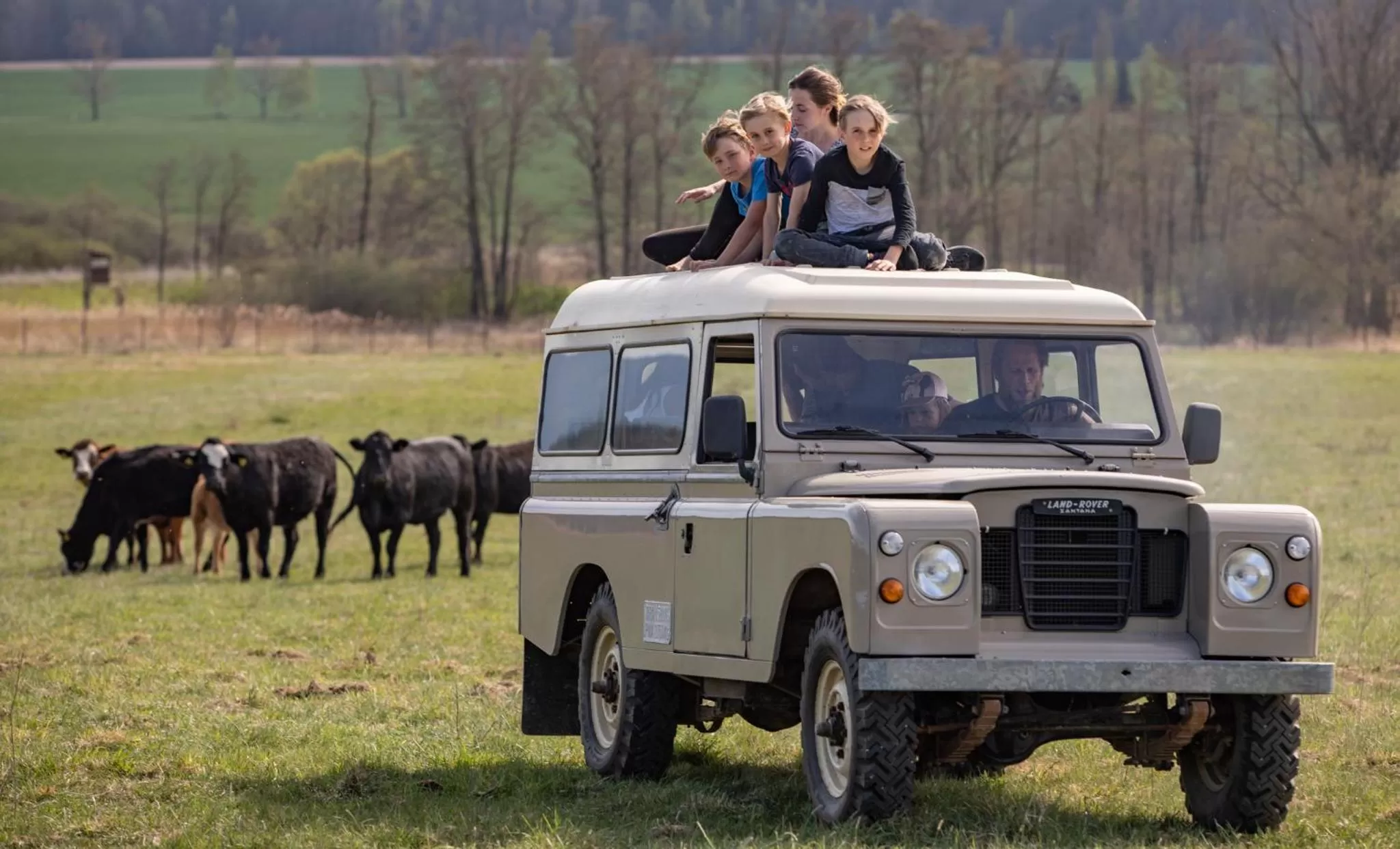 Residence Safari Resort - Bison Lodge