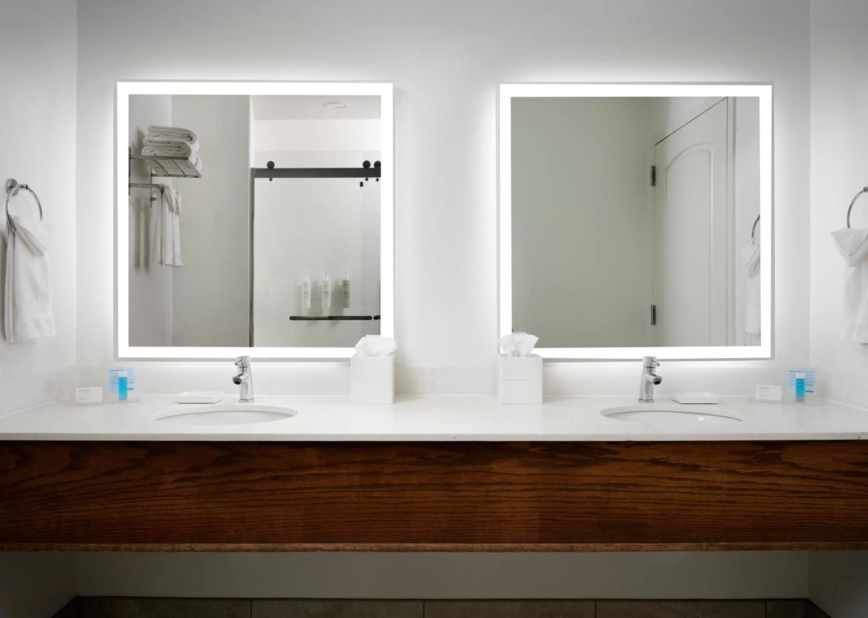 Bathroom in Hampton Inn & Suites Austin - Downtown