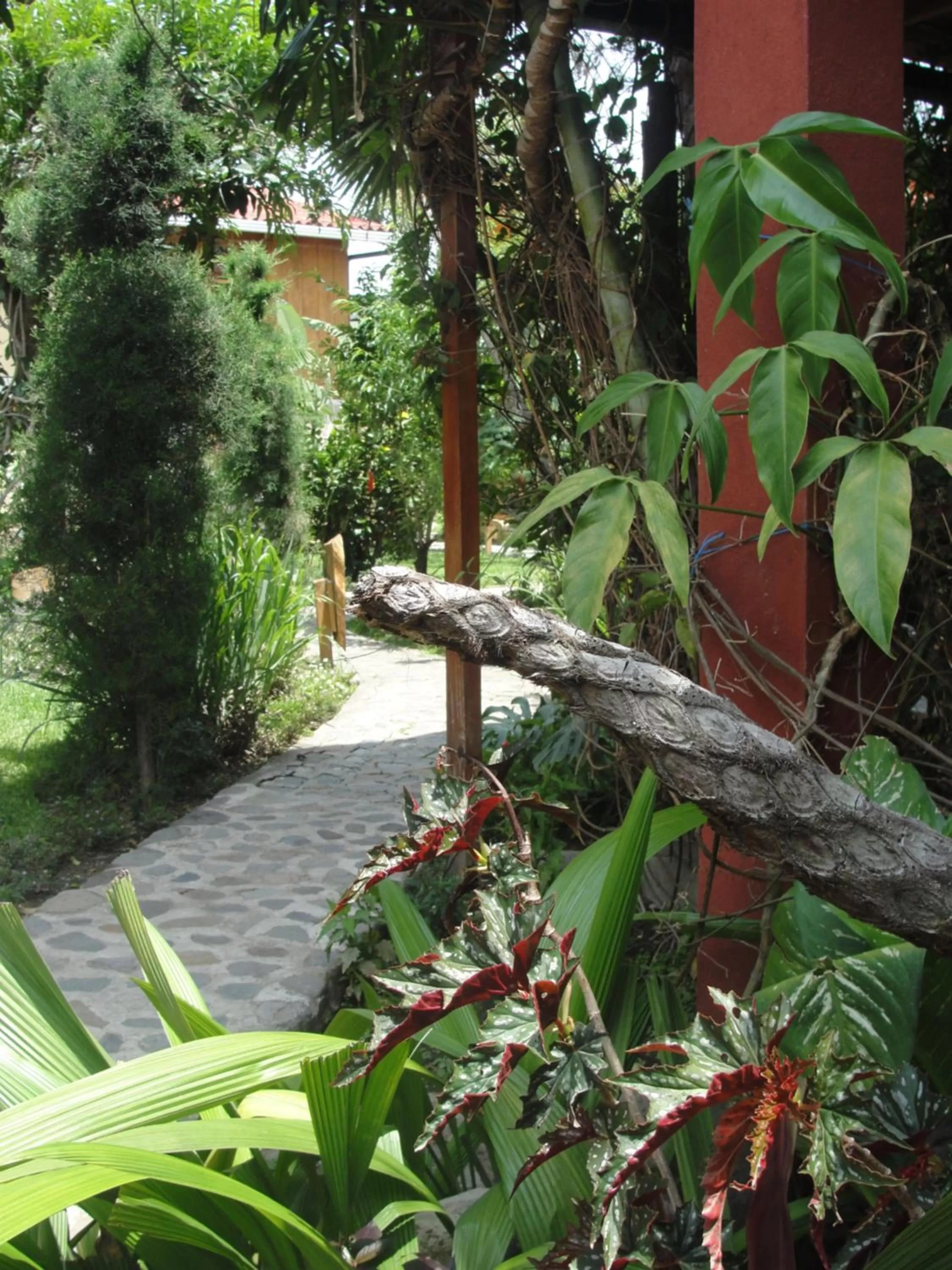 Garden in Hotel Utz Jay