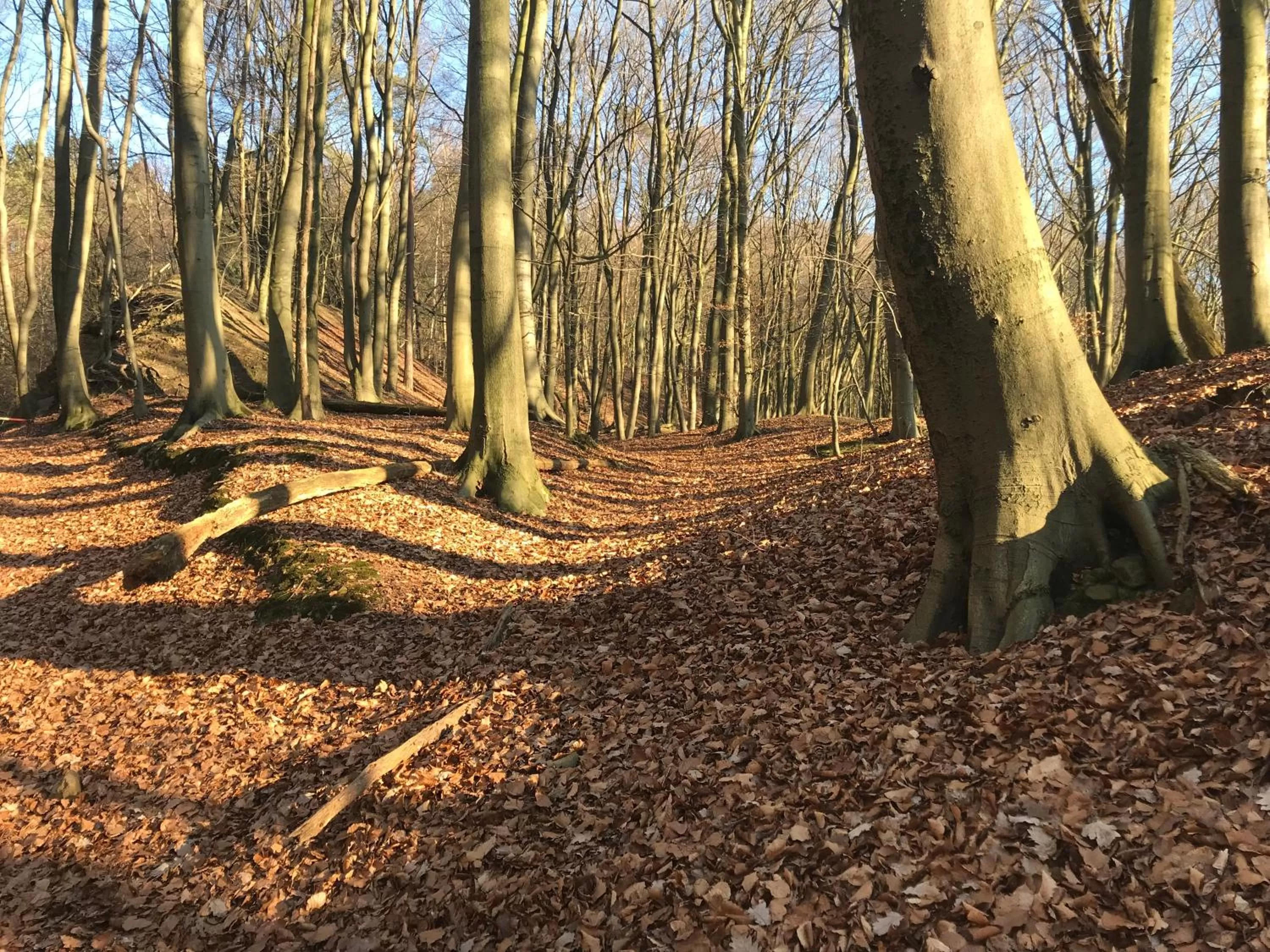 Waldhotel "Peter aufm Berge"