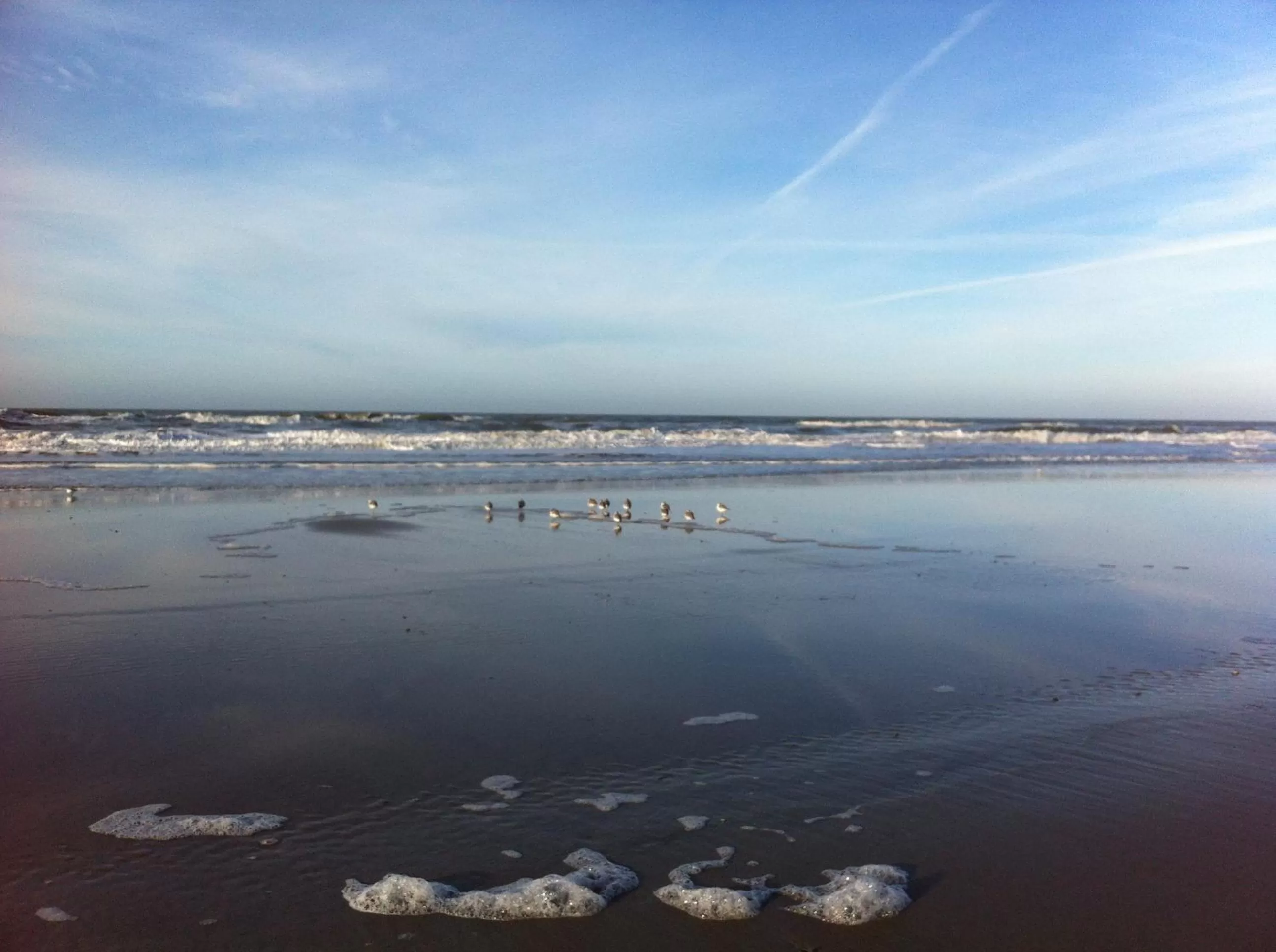 Natural landscape in B&B Vloedlijn Texel