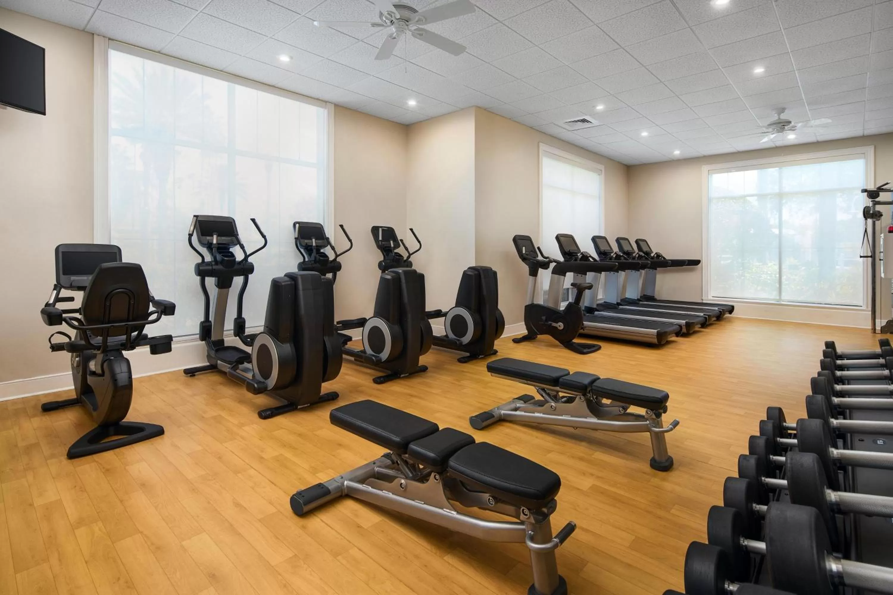 Fitness centre/facilities in Sheraton Vistana Villages Resort Villas, I-Drive Orlando