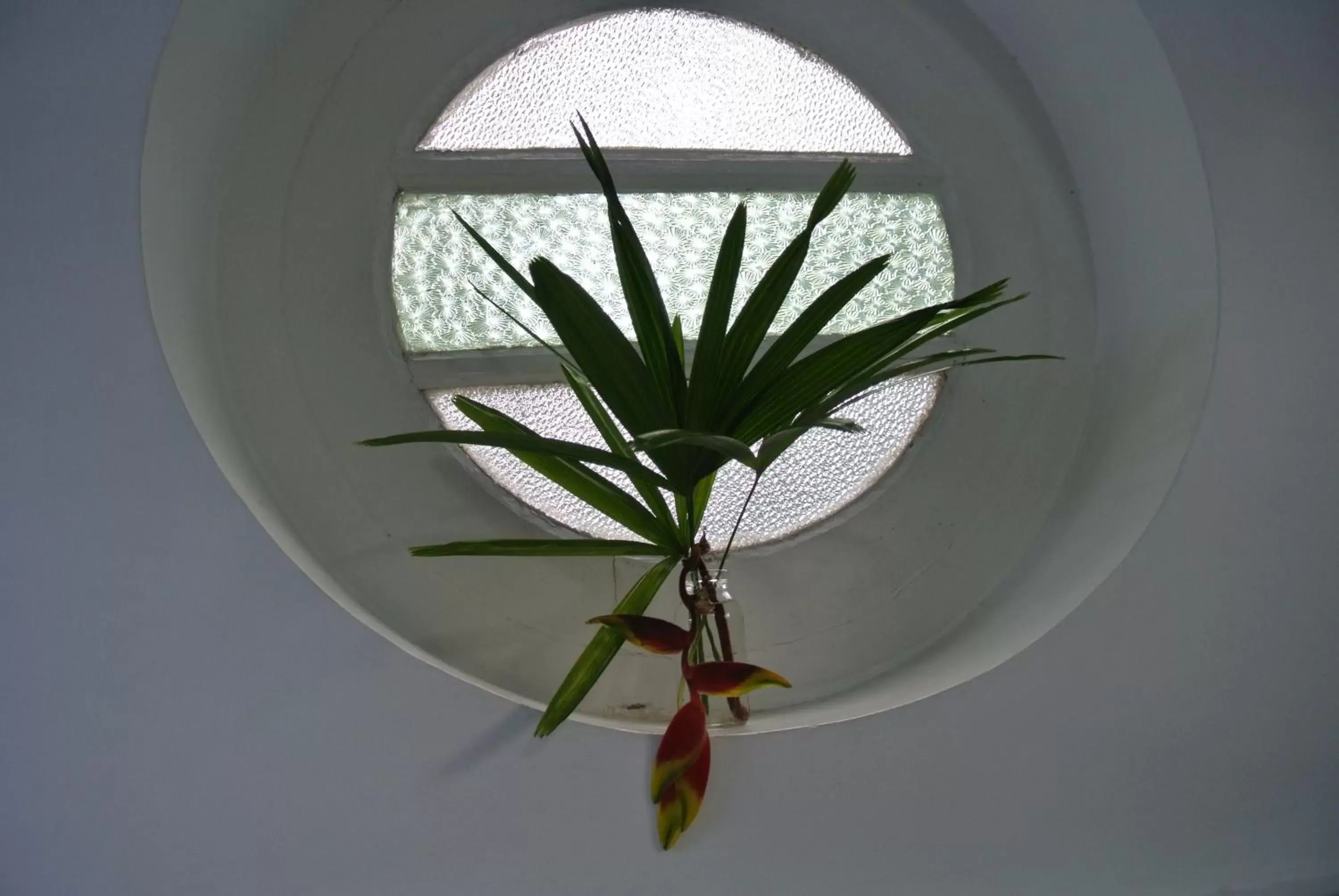 Double Room with Garden View in "27" Spathodea- Oasis in the City Double Room with Garden View in "27" Spathodea- Oasis in the City