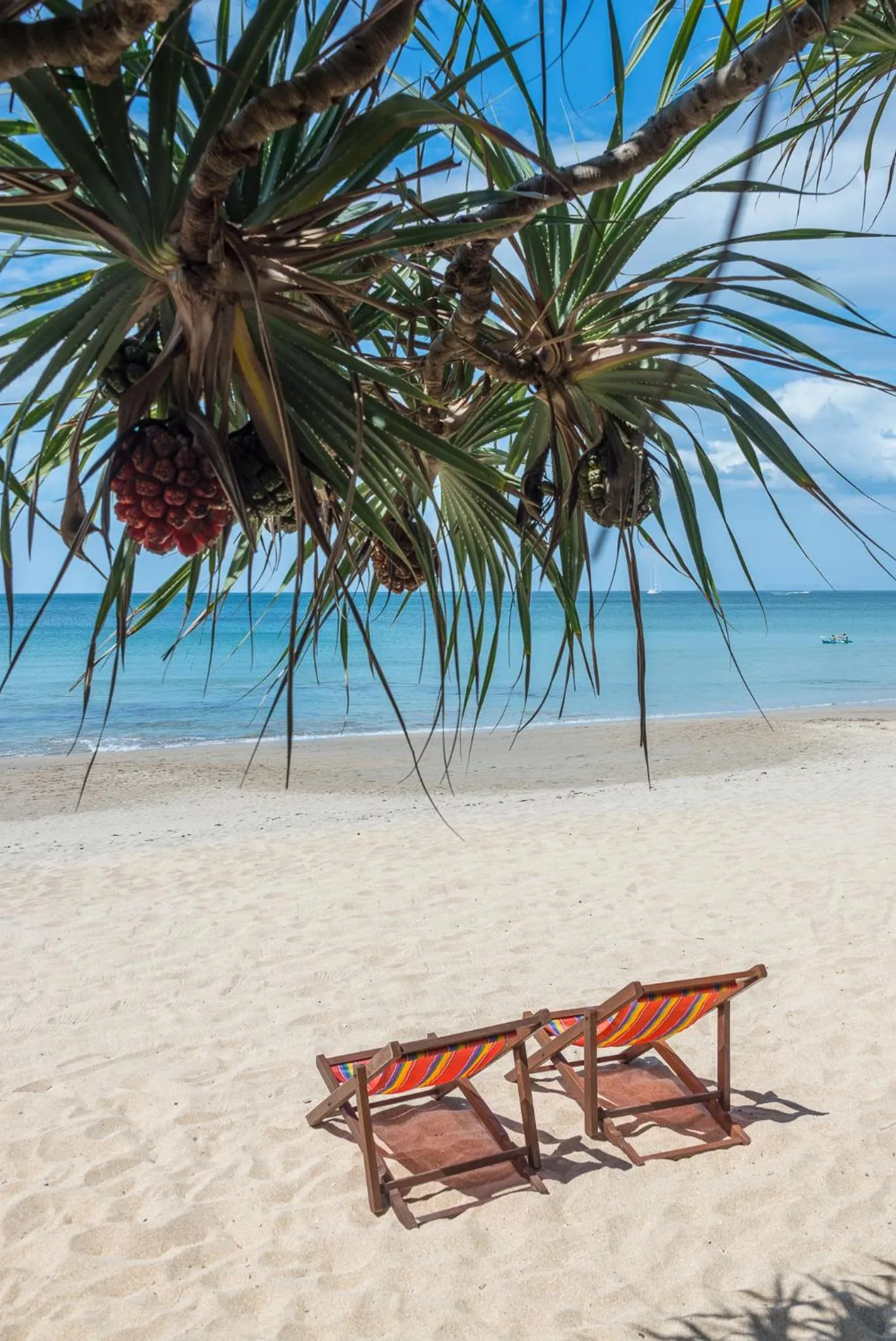 Day in Lanta Miami Resort - SHA Extra Plus