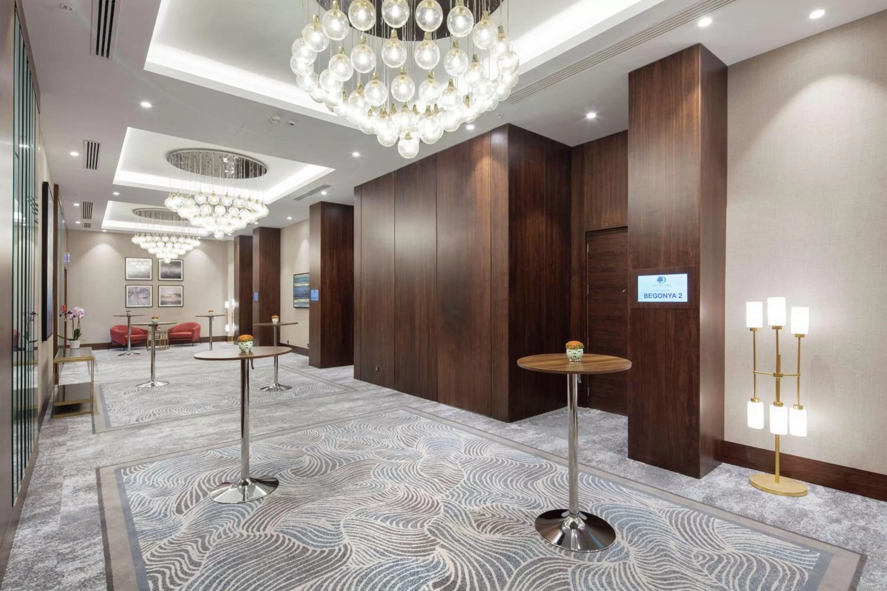 Meeting/conference room in Doubletree By Hilton Afyonkarahisar
