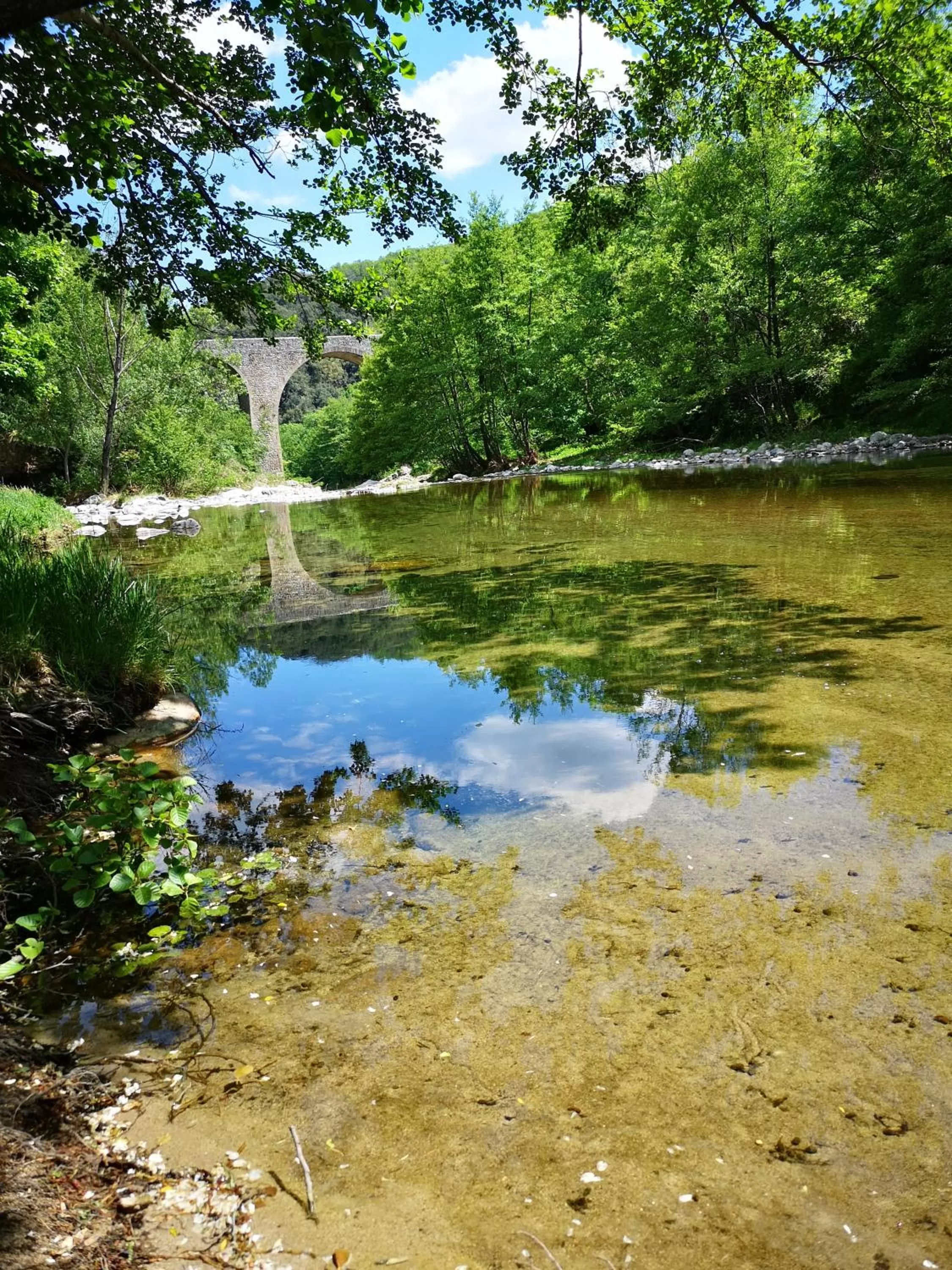 Natural landscape in Hôtel Le Ponson