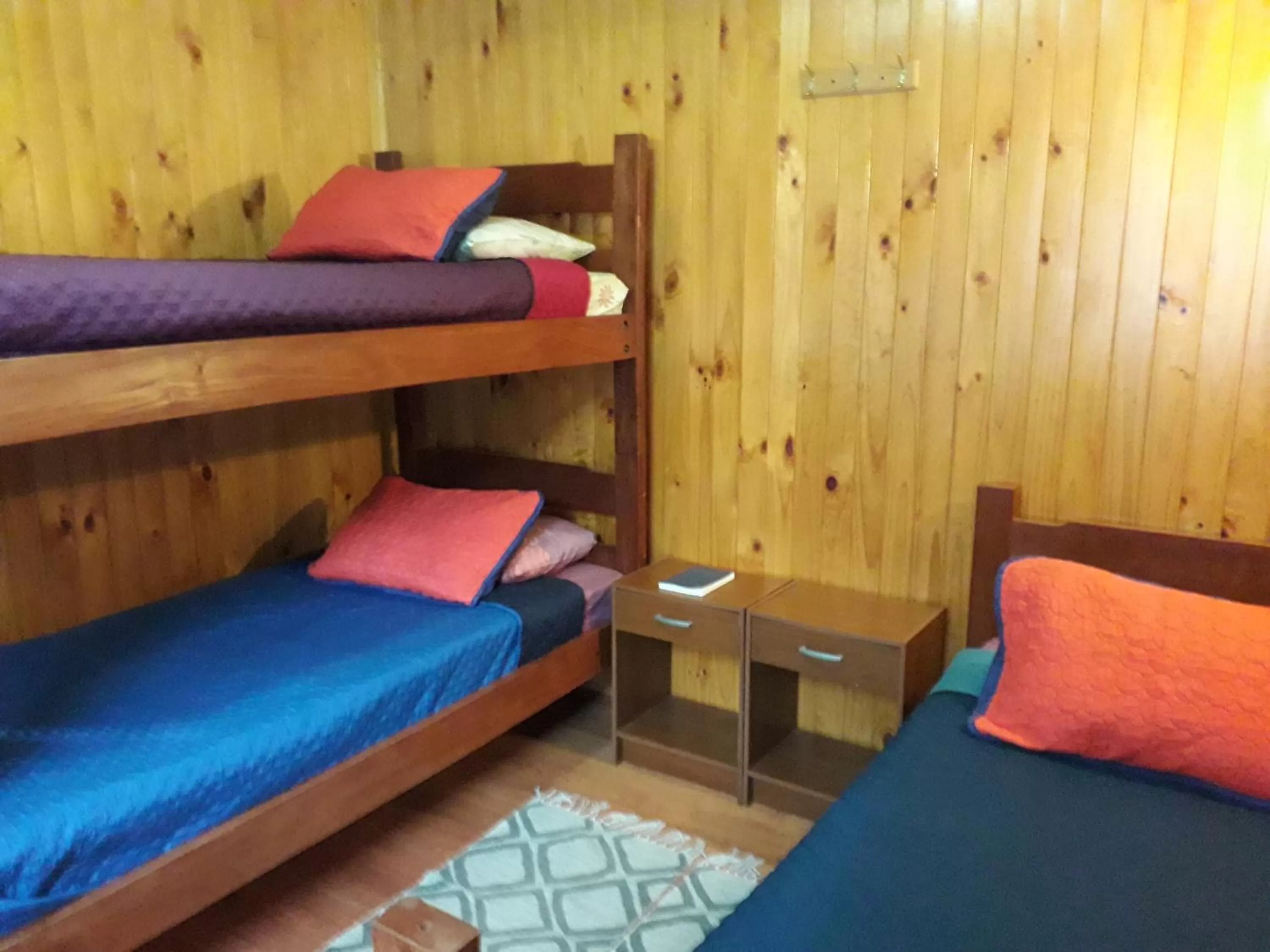 bunk bed, Bed in Apart-Hotel Colonia-Königsberg UBICADO COSTADO TERMINAL BUSES, RÍO CALLE CALLE CARABINEROS DEPARTAMENTOS COMPLETOS CON AIRE ACONDICIONADO Y ESTACIONAMIENTO