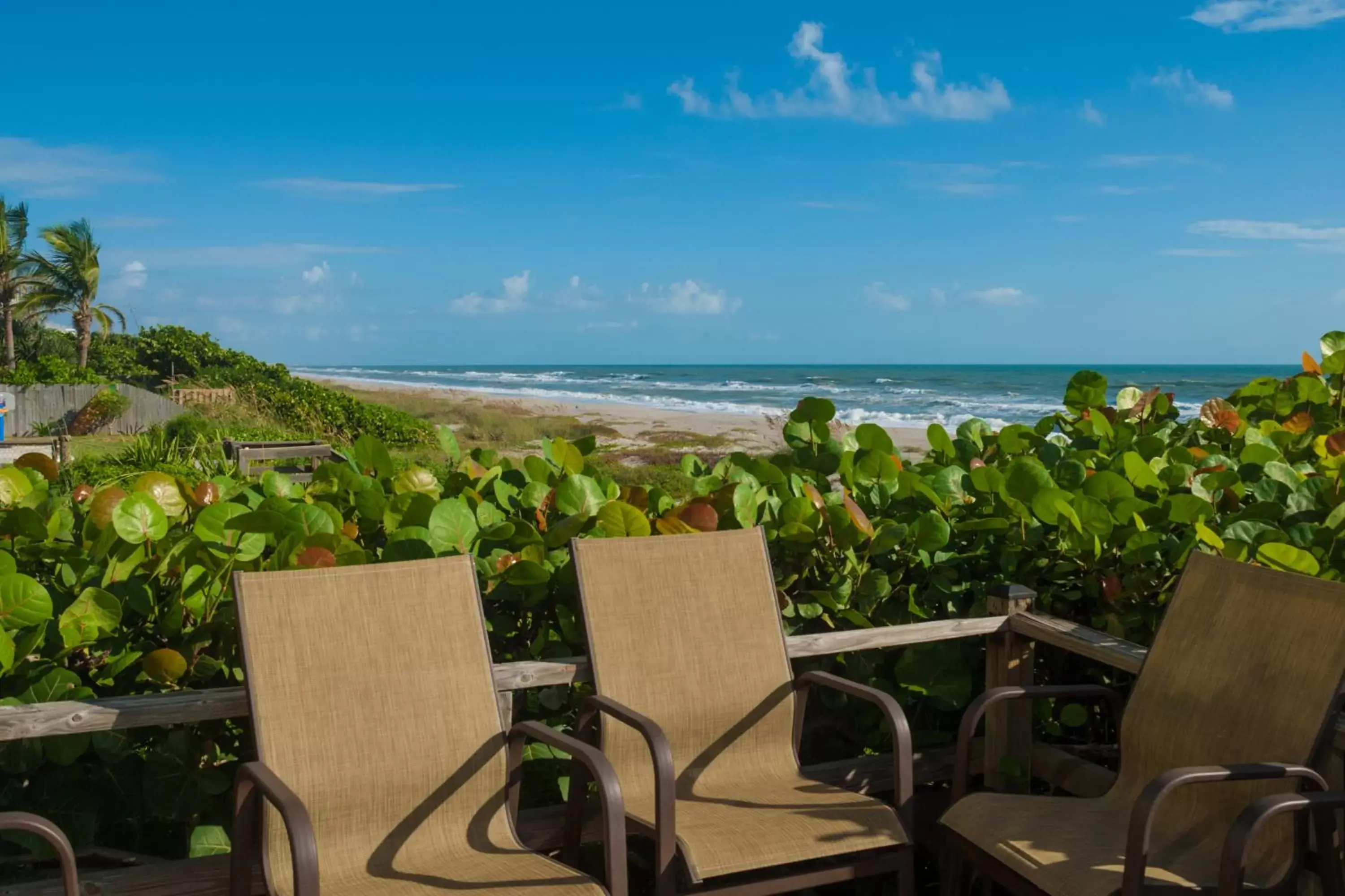 1 Queen Bed 1st Floor Ocean Front with Patio in Tuckaway Shores Resort 1 Queen Bed 1st Floor Ocean Front with Patio in Tuckaway Shores Resort