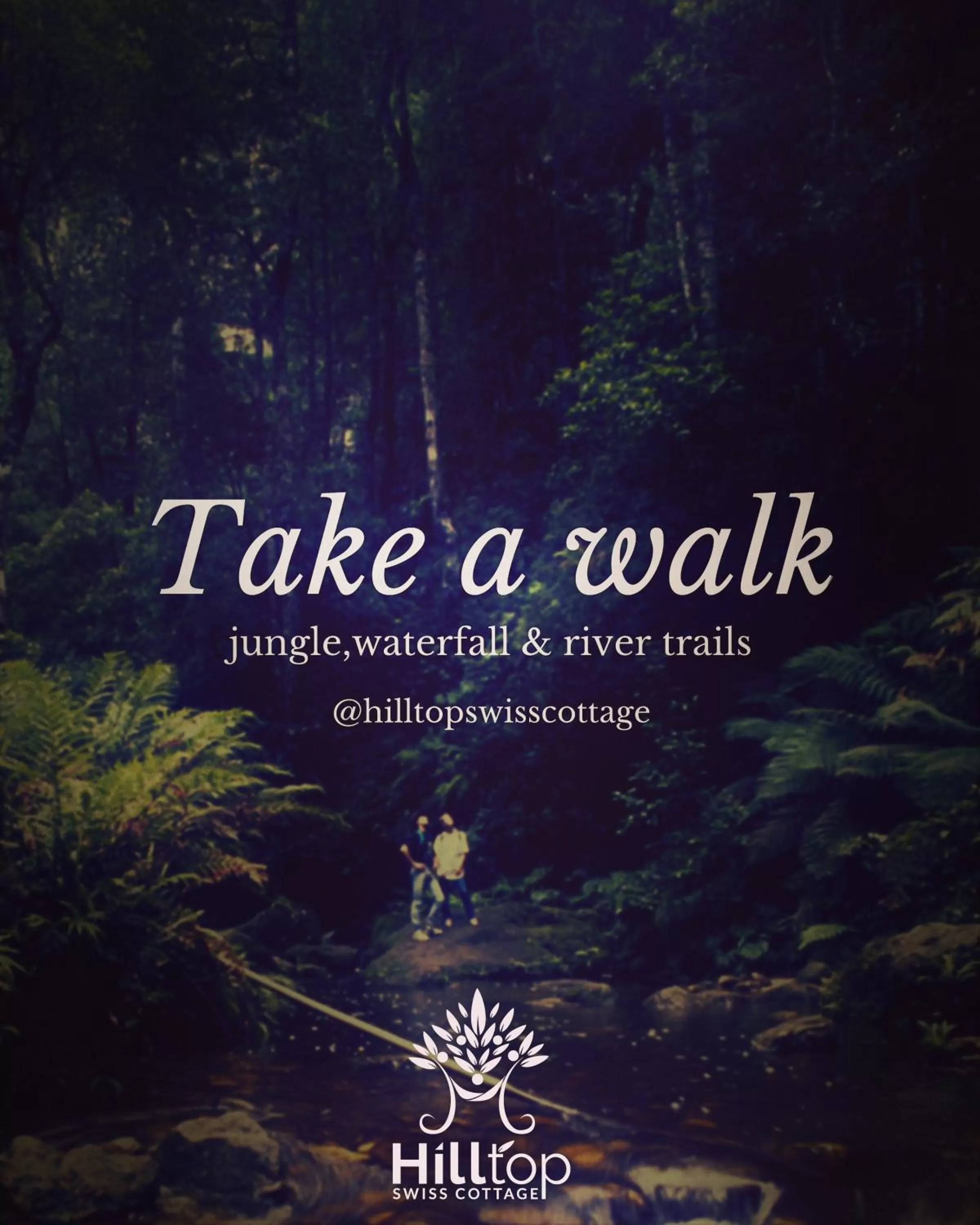 Activities in Hill Top Swiss Cottage