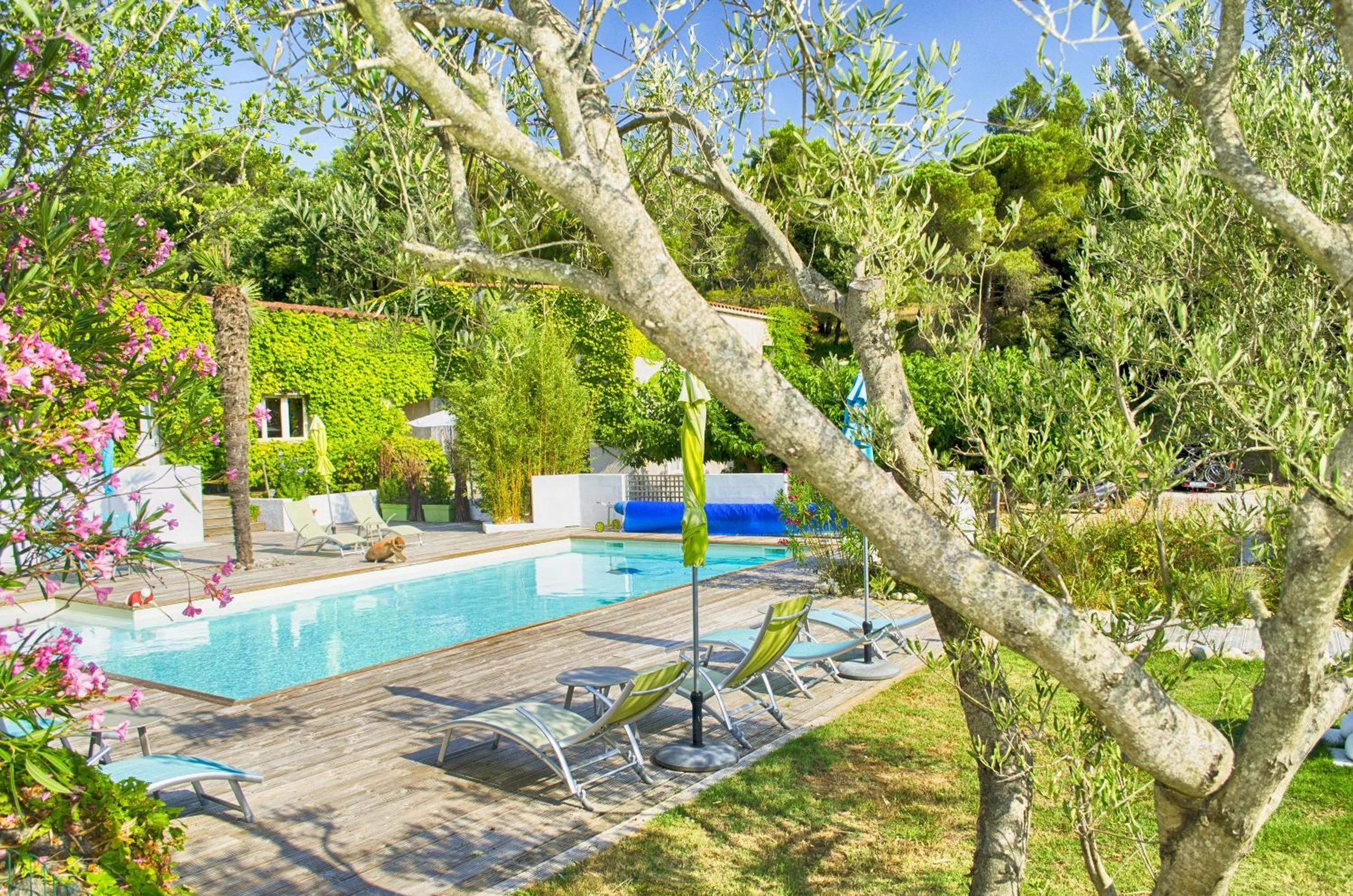 Swimming pool in Chambres d'hôtes & Spa le Relais de la Cavayere