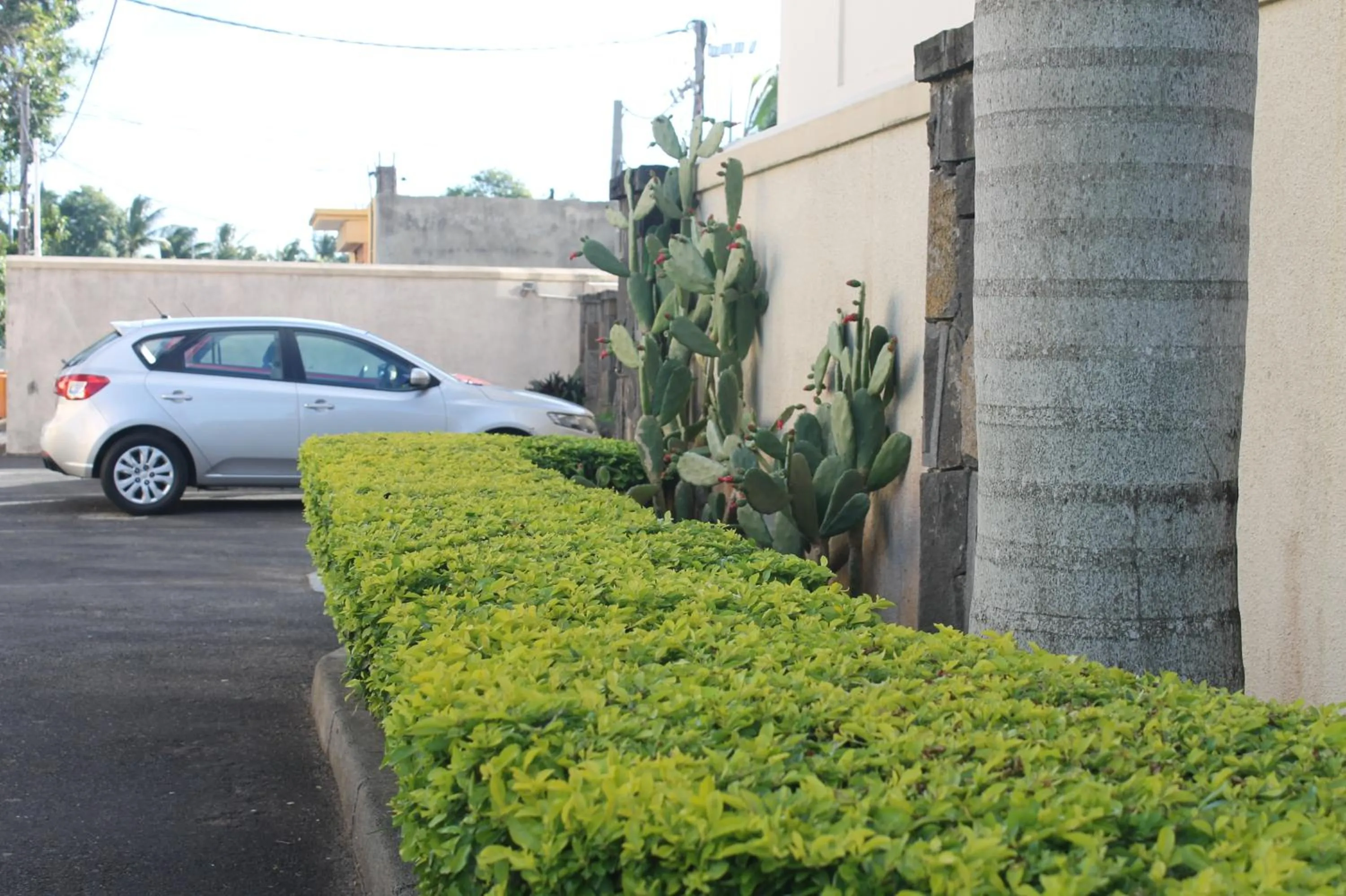 Area and facilities in Grand Bay Suites