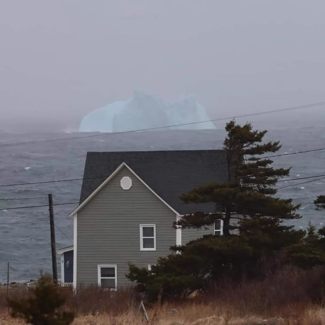 Natural landscape in The Harbourside Inn & Cafe