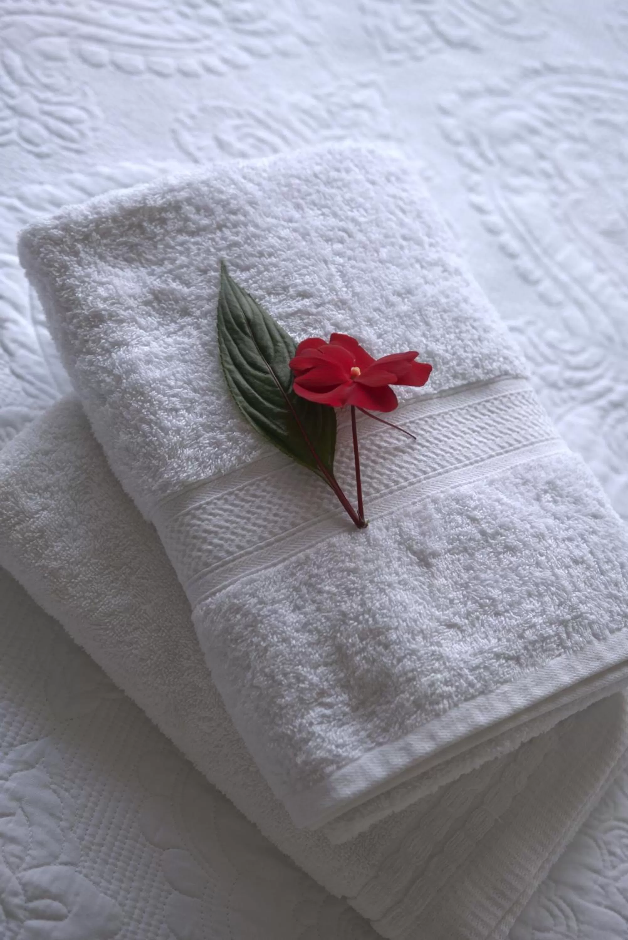 Decorative detail in Hotel Chalet El Castillo by Majuva