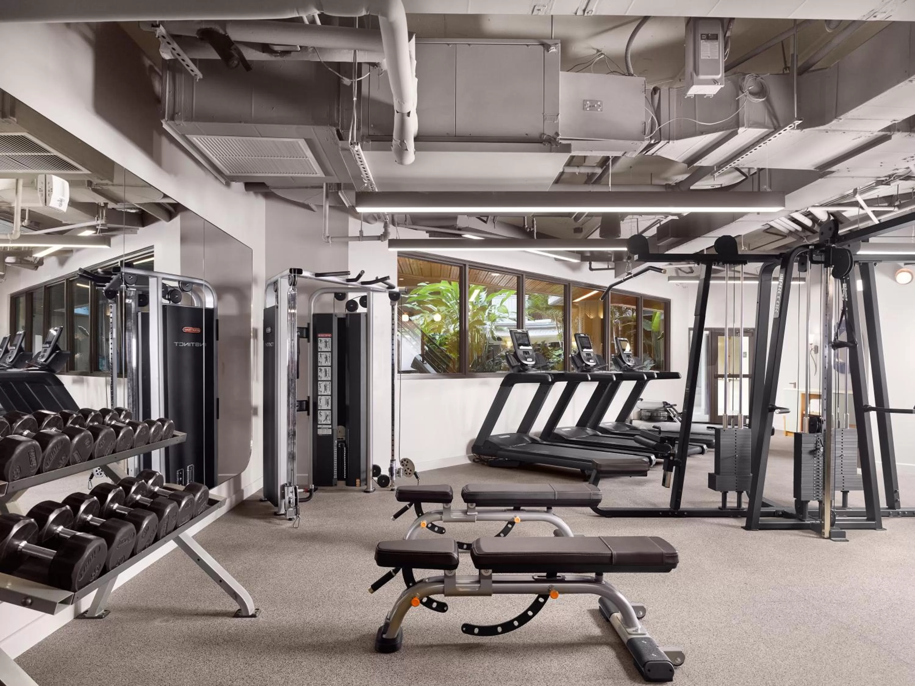 Fitness centre/facilities in Mayfair House Hotel & Garden