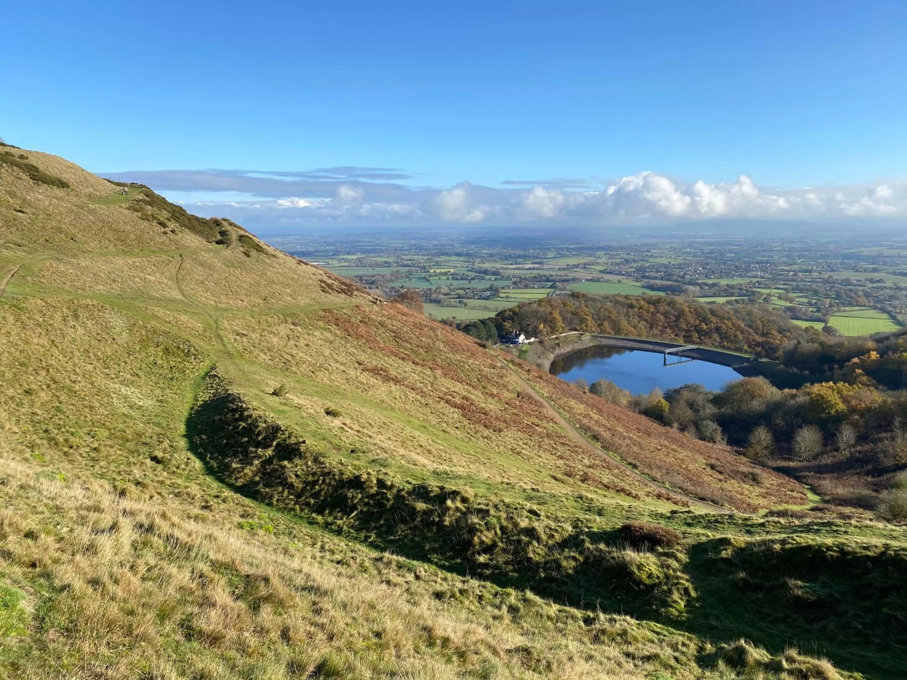 Natural landscape in Orchard Side Bed and Breakfast