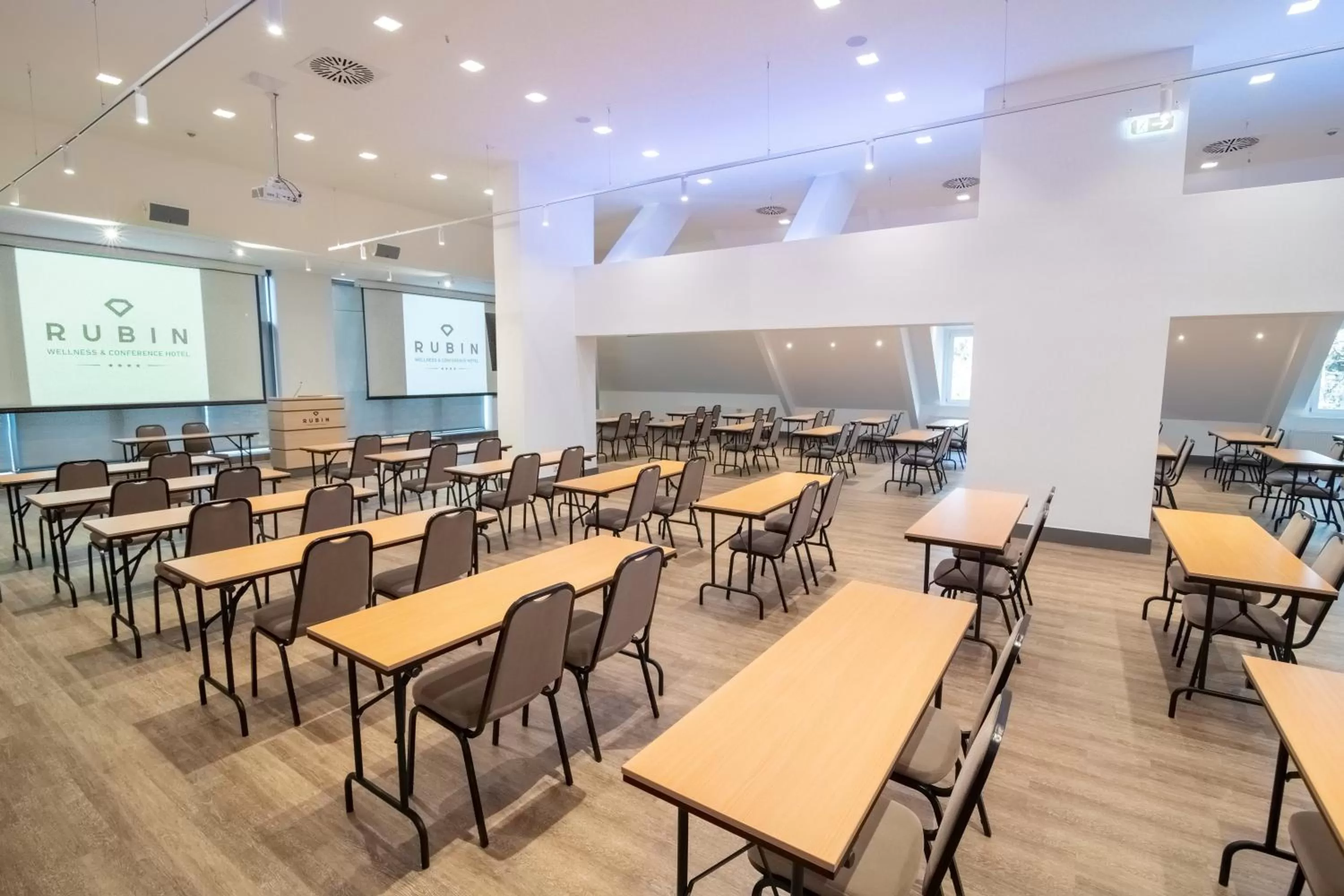 Business facilities in Rubin Wellness & Conference Hotel