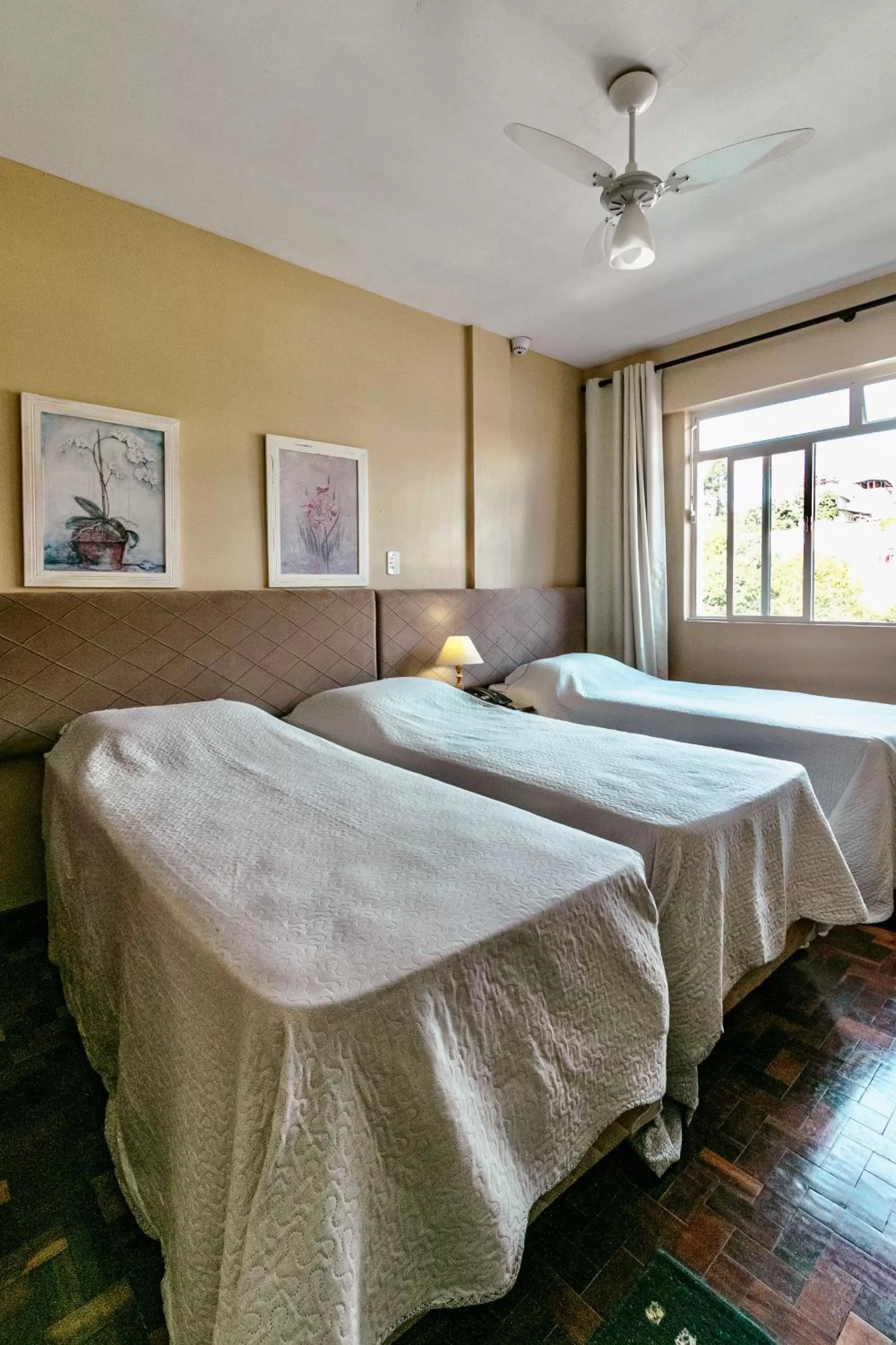 Bed in Hotel San Rafael