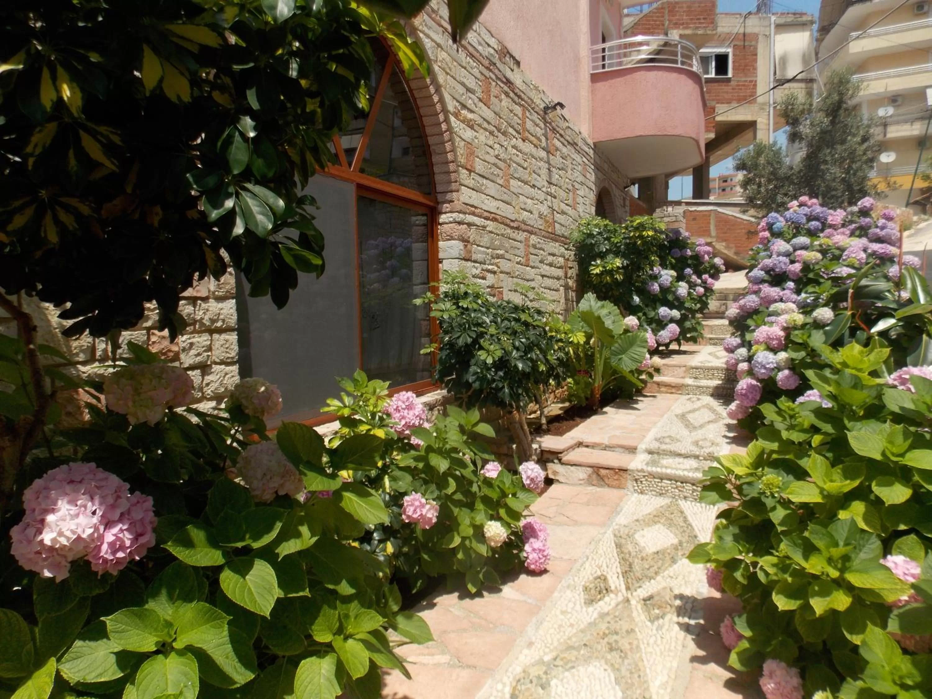 Lunch in Hotel Piccolino