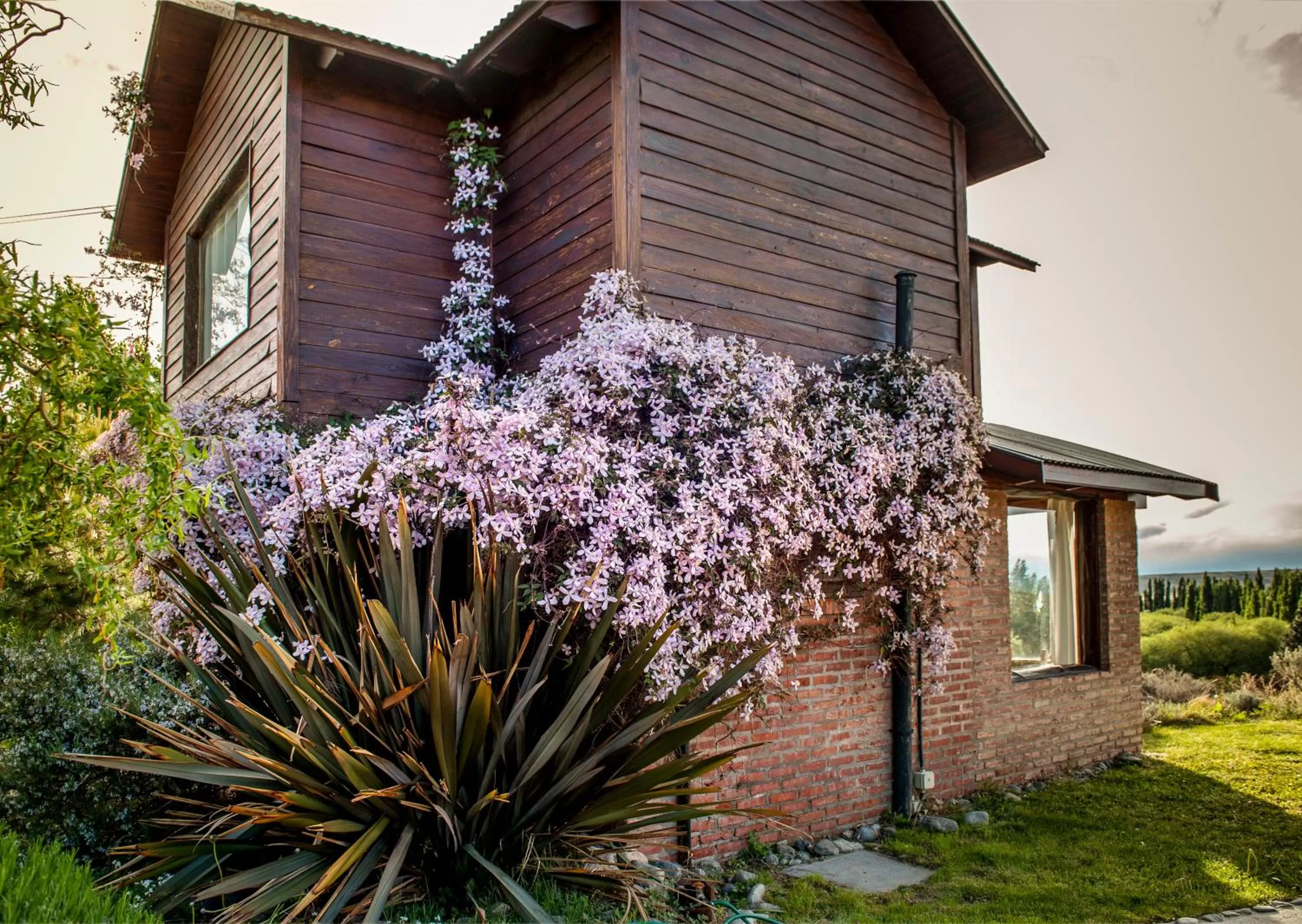 Property building in Posada Larsen