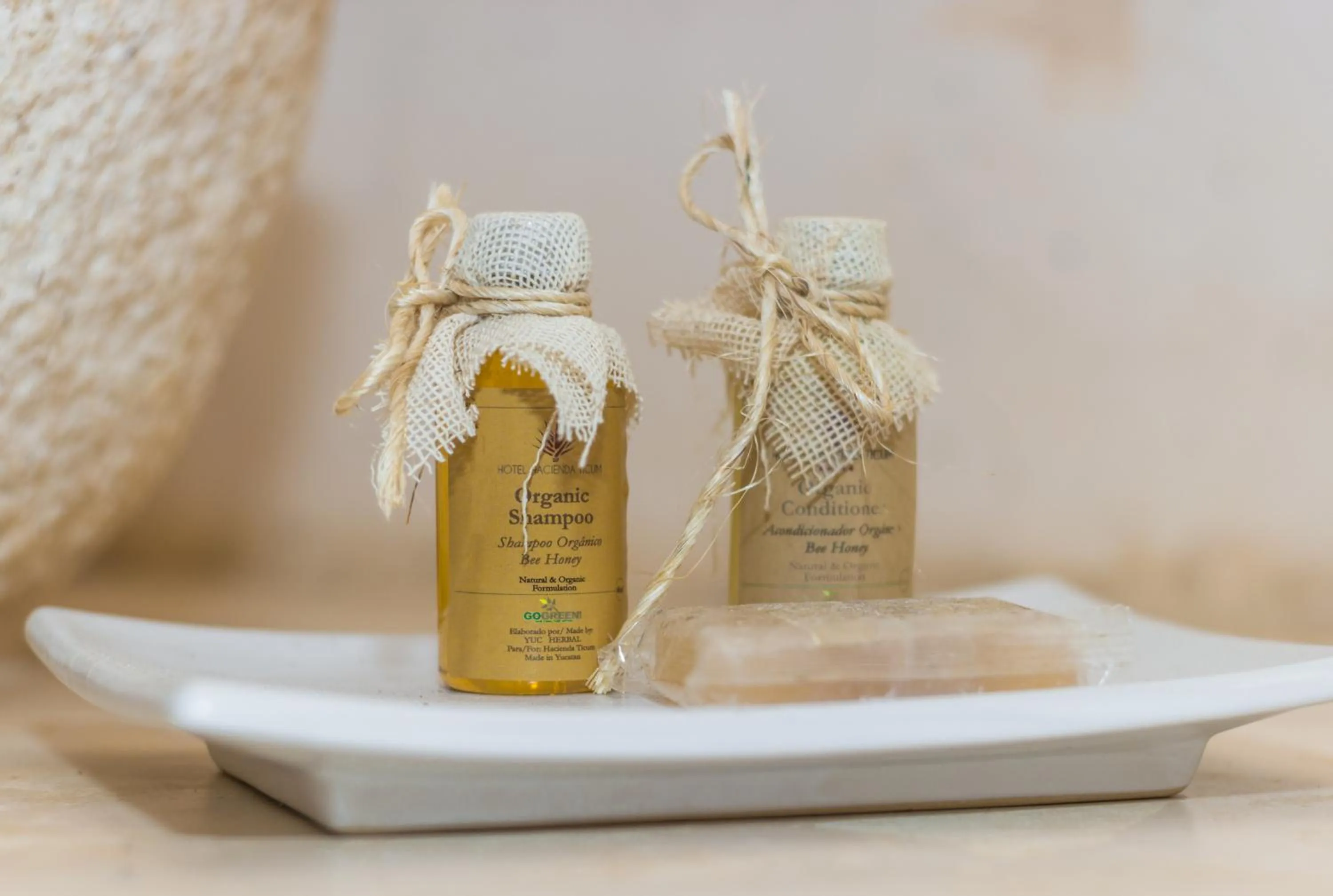 Hotel Hacienda Ticum