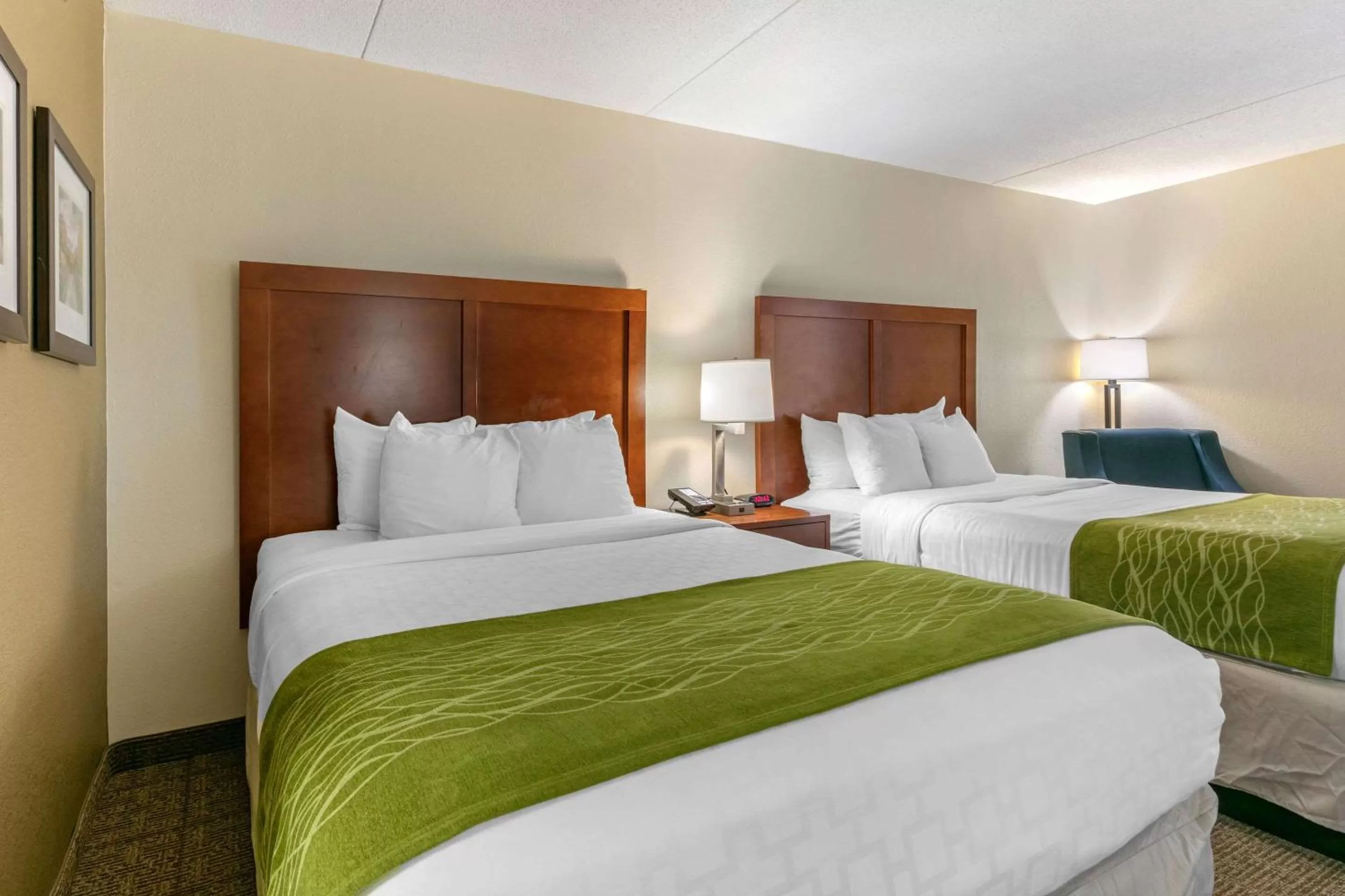 Photo of the whole room, Bed in Comfort Inn Chattanooga Downtown Southside