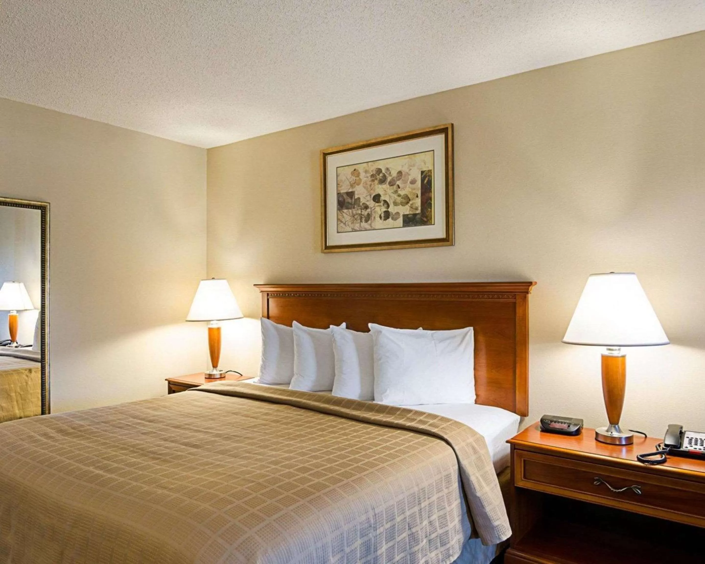 Photo of the whole room, Bed in Quality Inn Troutville - Roanoke North