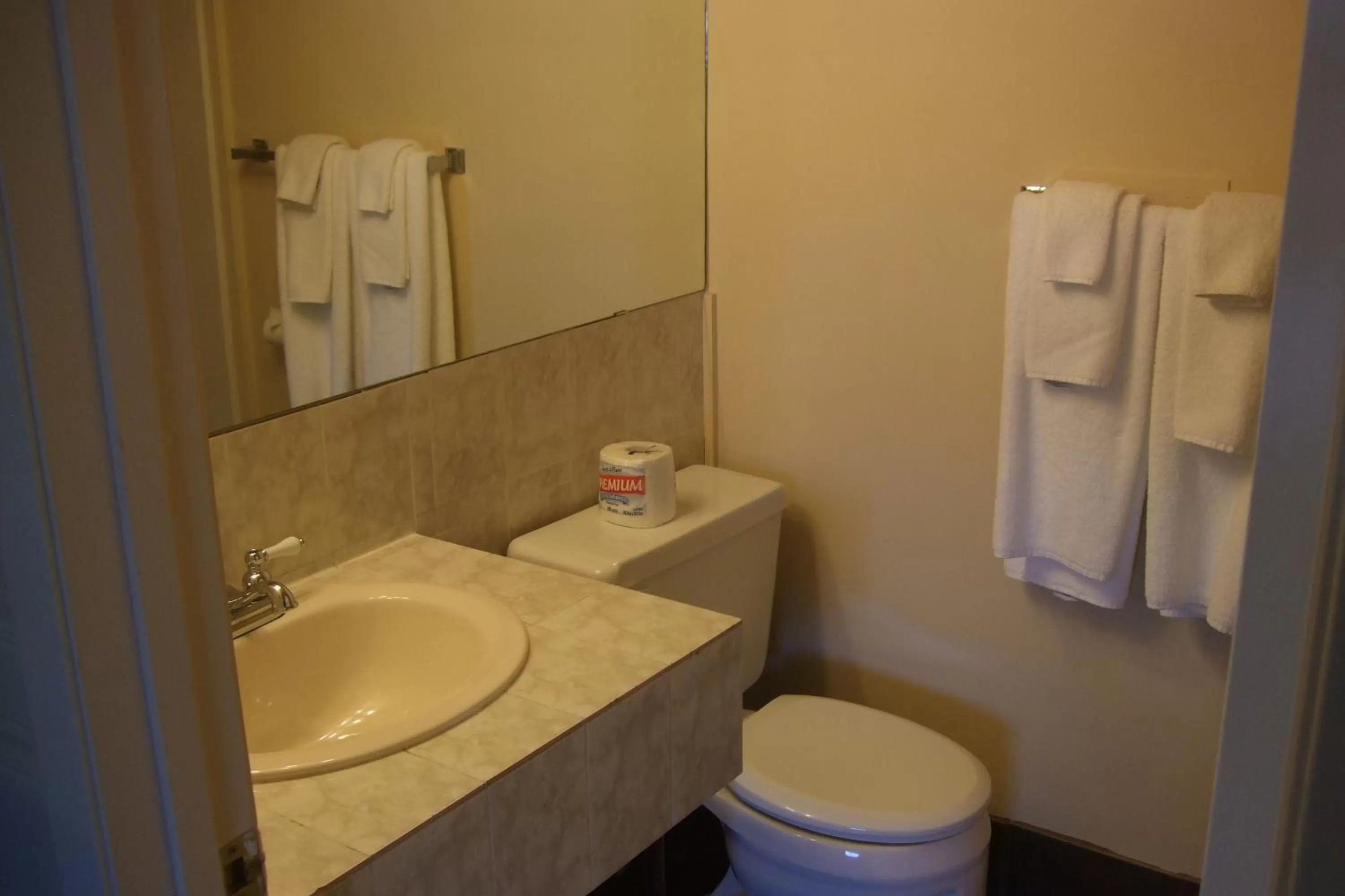 Bathroom in Trailside Inn