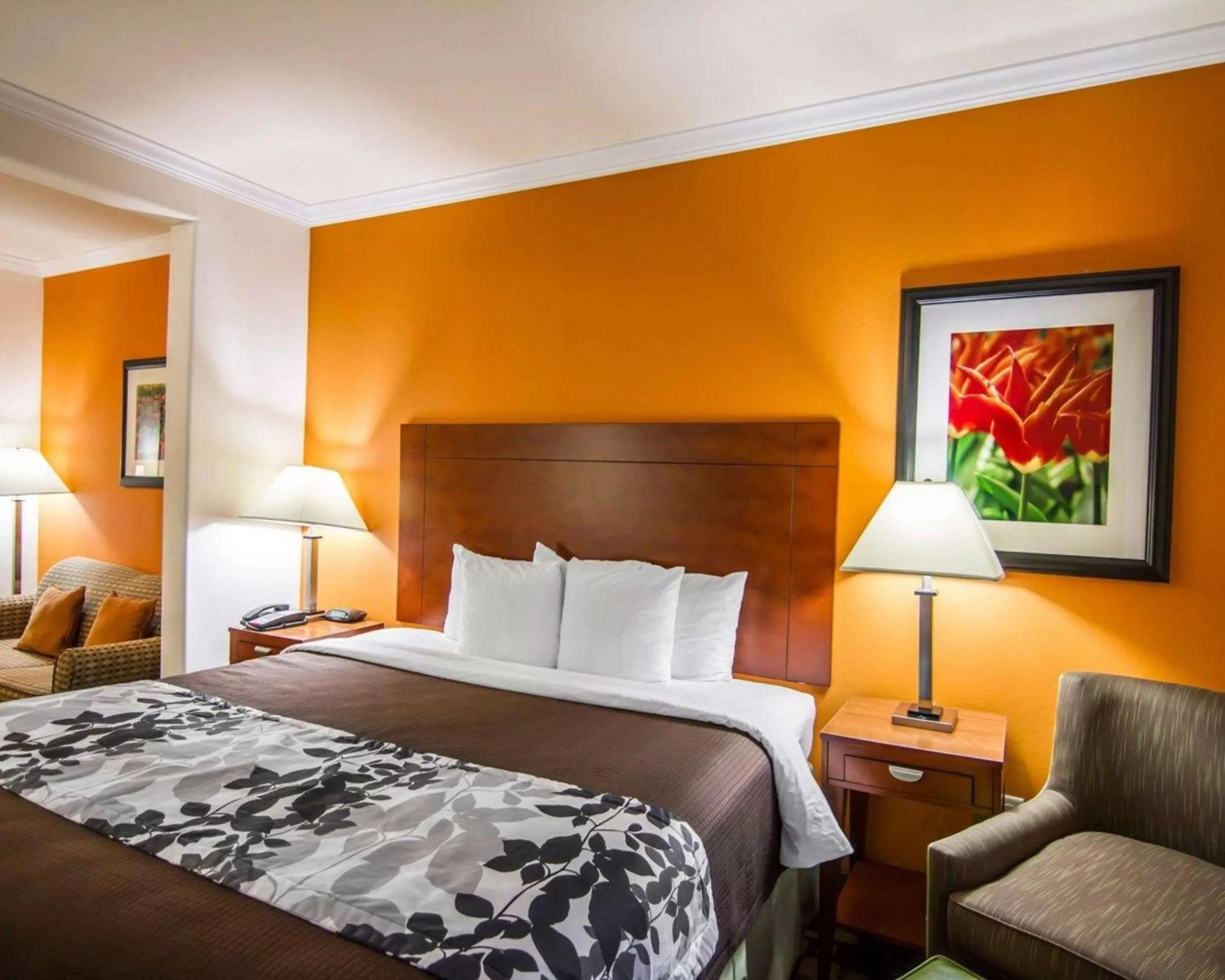 Photo of the whole room, Bed in Sleep Inn & Suites Shreveport West