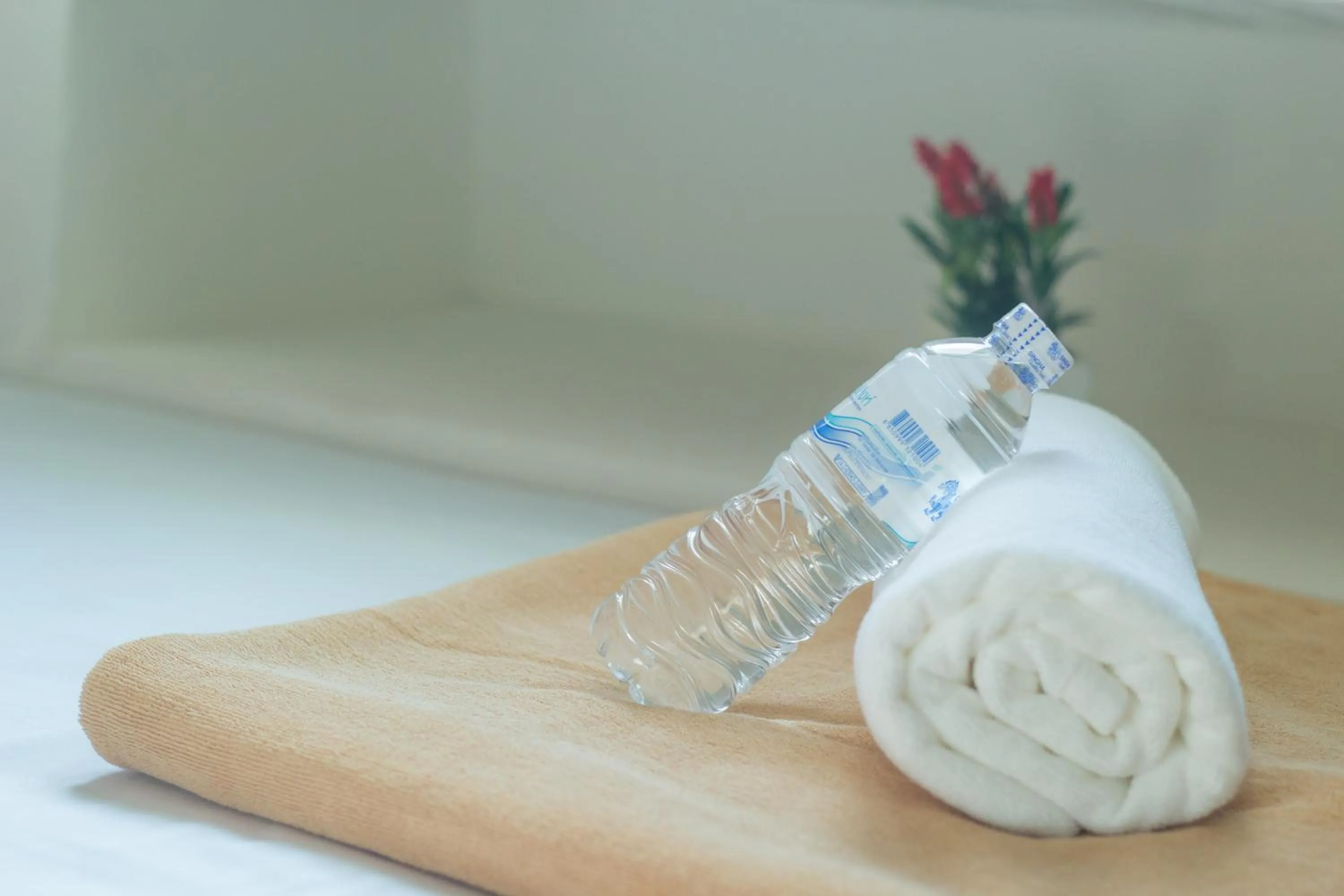 Non alcoholic drinks in Sleep Dee Hostel