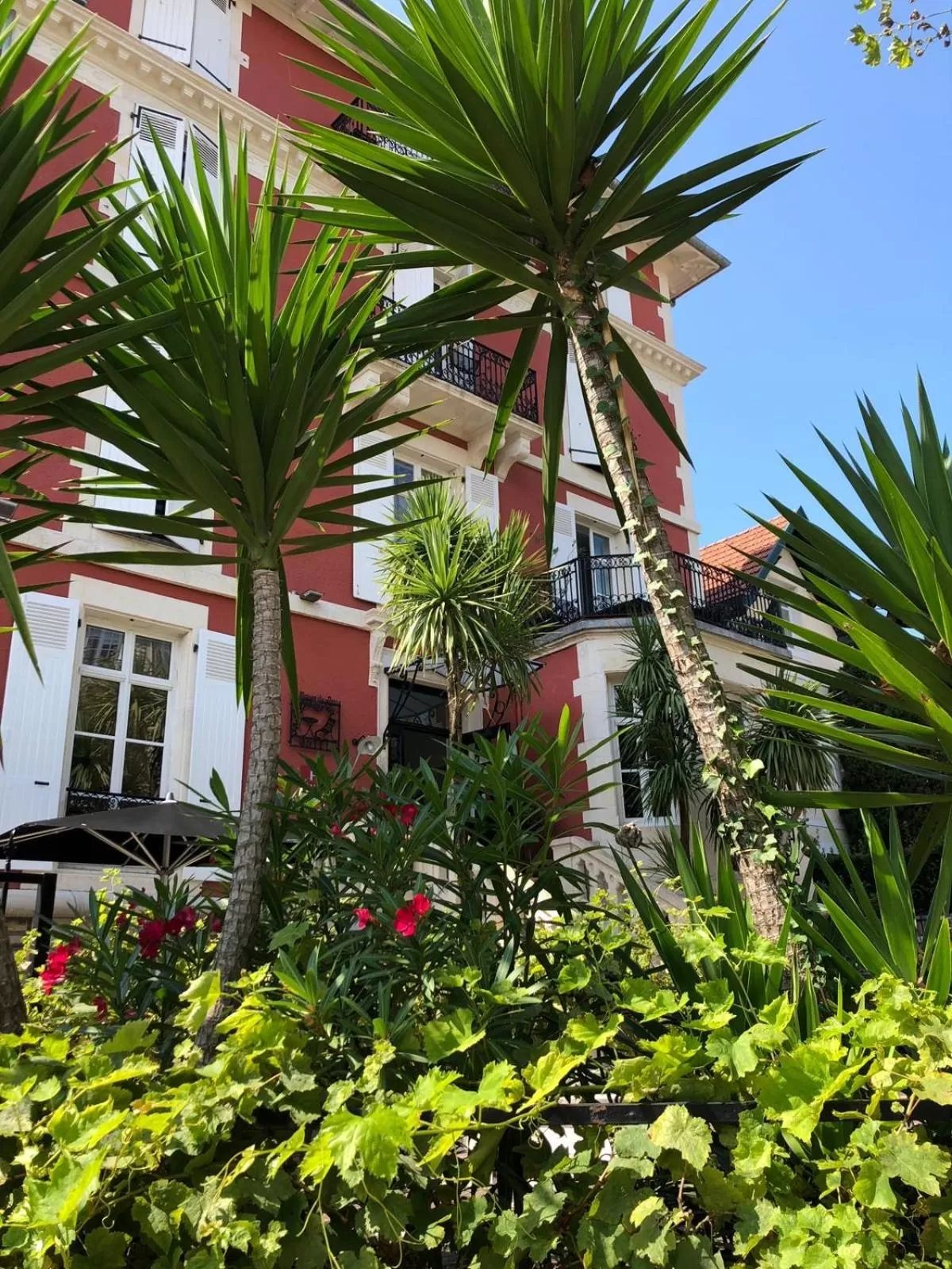 Garden in Hôtel & Espace Bien-être La Maison du Lierre