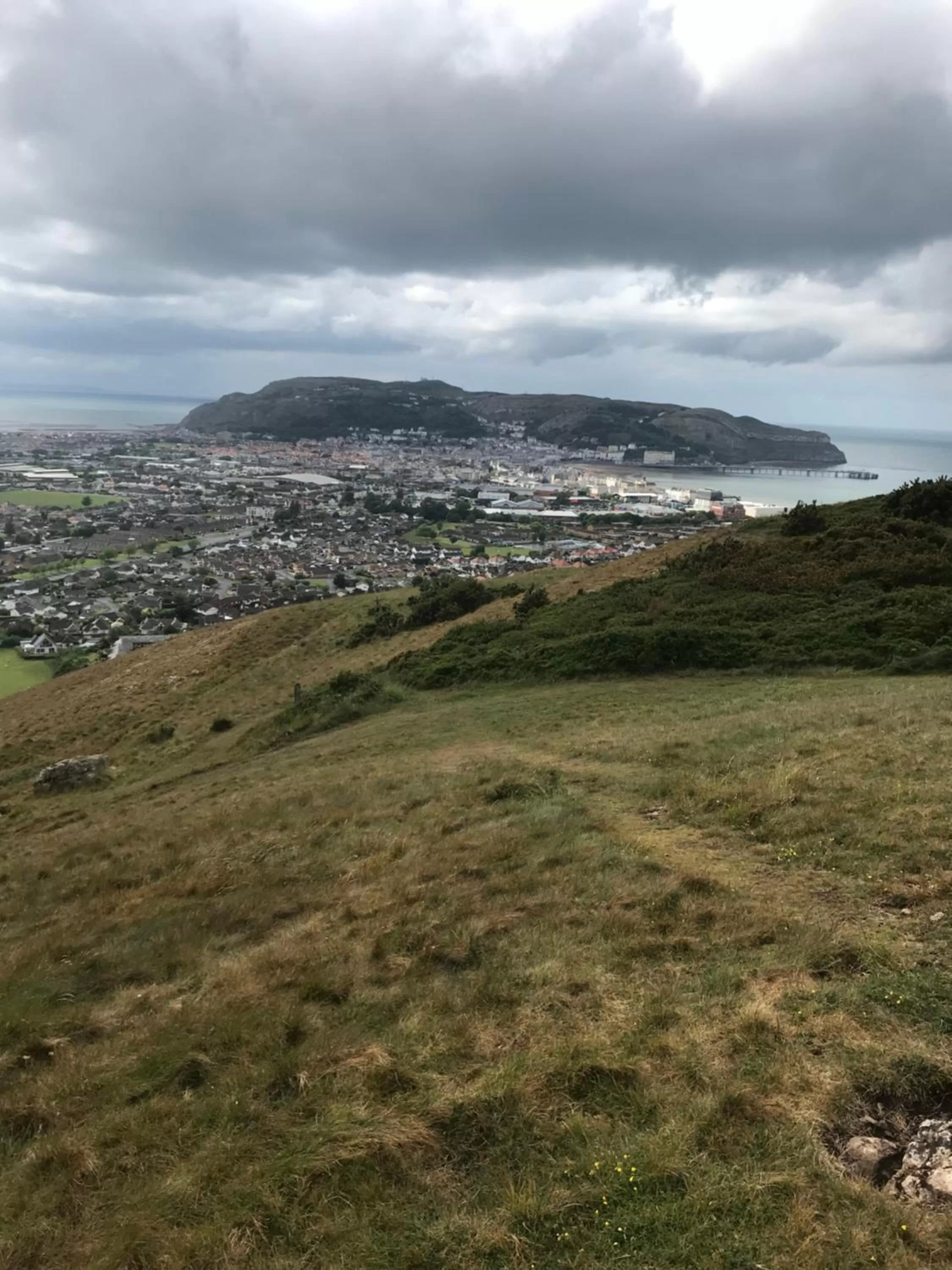 Natural landscape in Bryn Goleu Bed & Breakfast