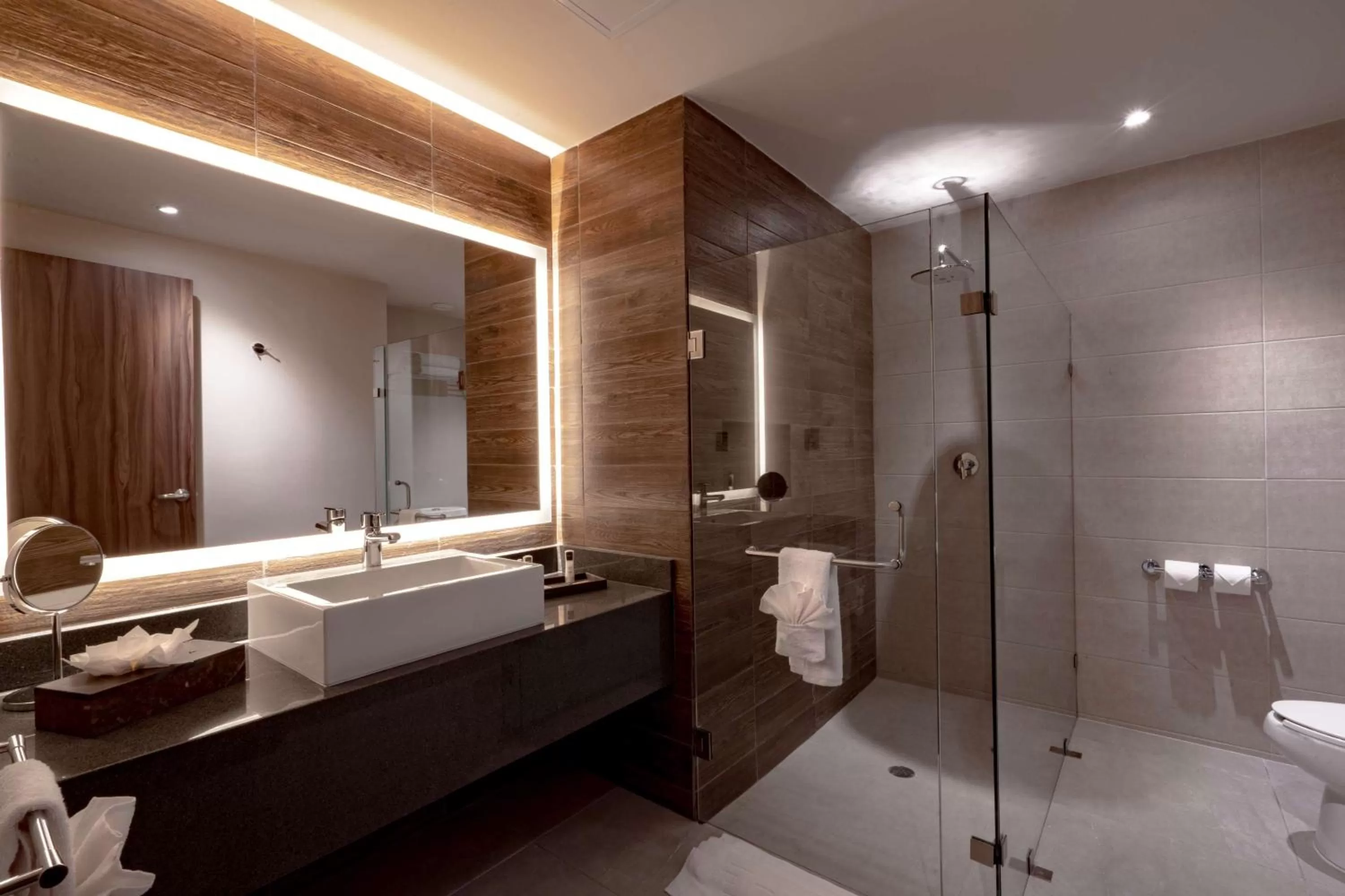 Bathroom in Best Western Plus Riviera Veracruz