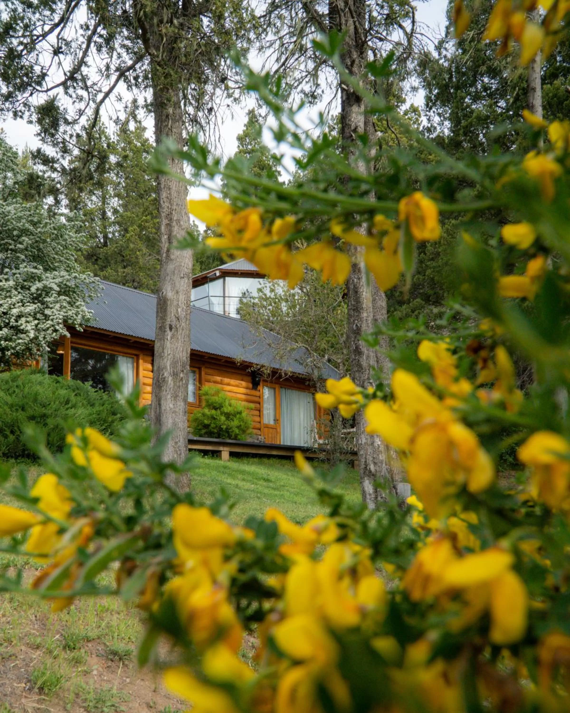 Property building in Arrayan Lake View Mountain Lodge & Casa De Te Arrayan