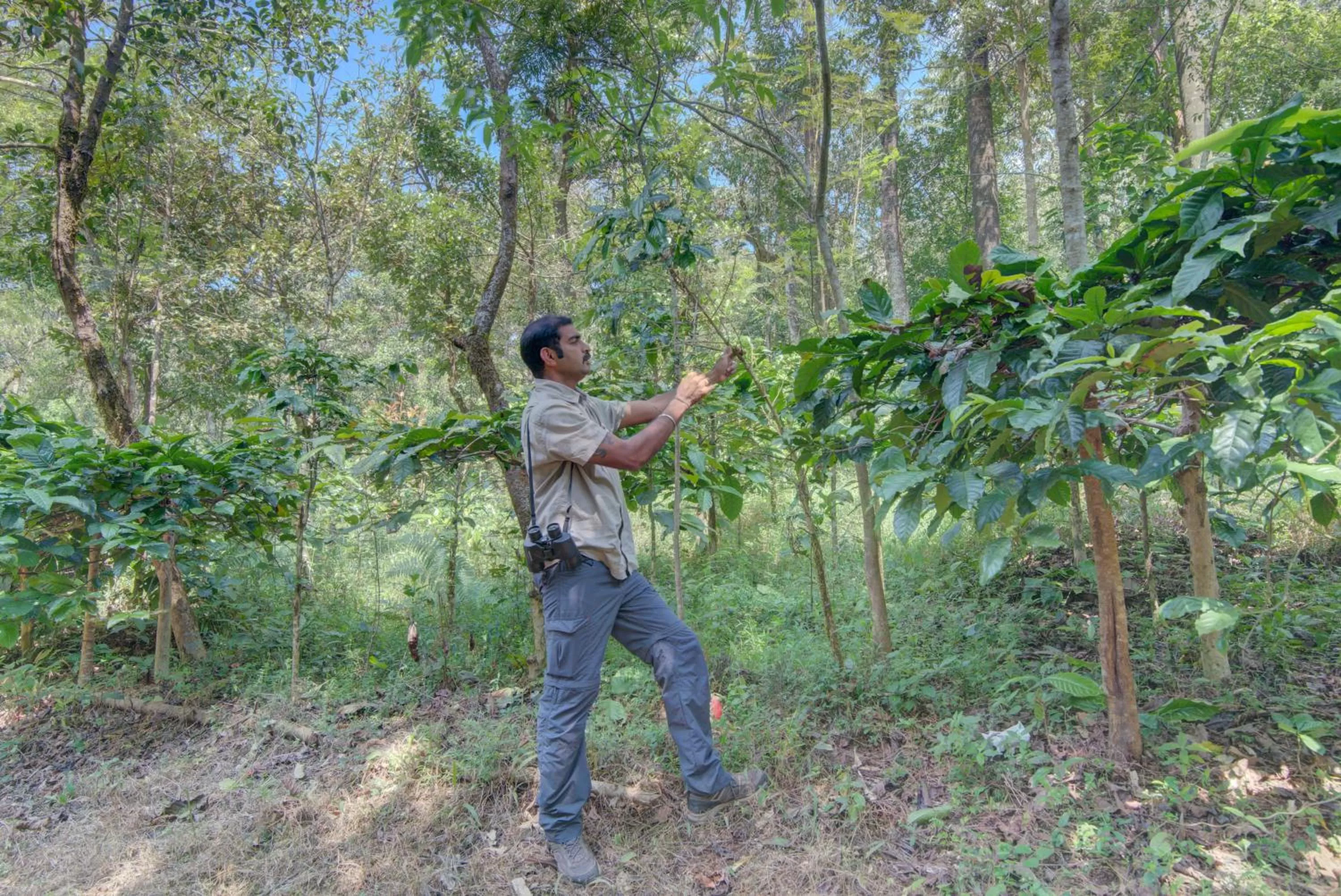 Activities in Taj Madikeri Resort & Spa Coorg