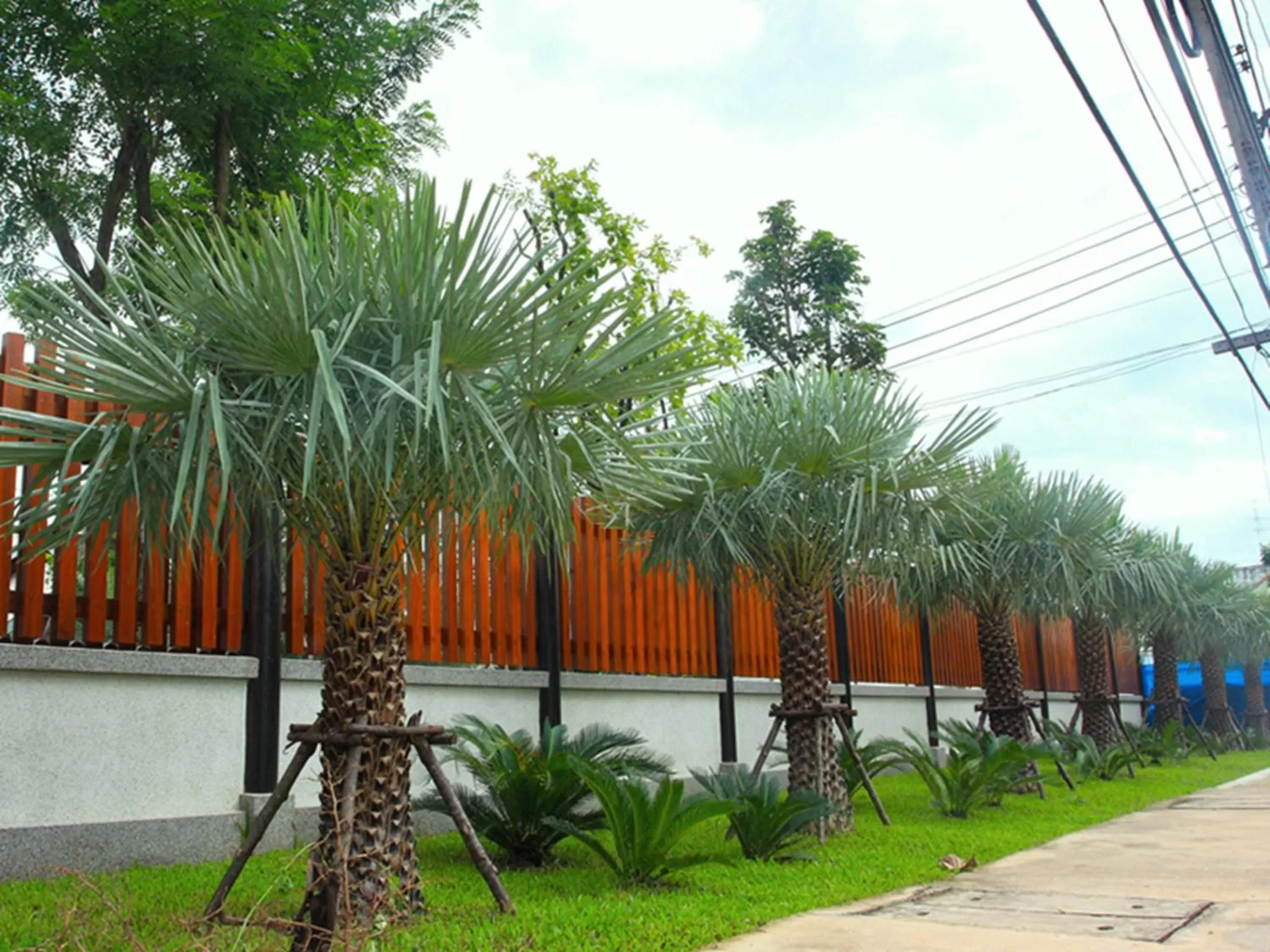 Day in Baan Siriporn Resort - โรงแรมบ้านศิริพร รีสอร์ท