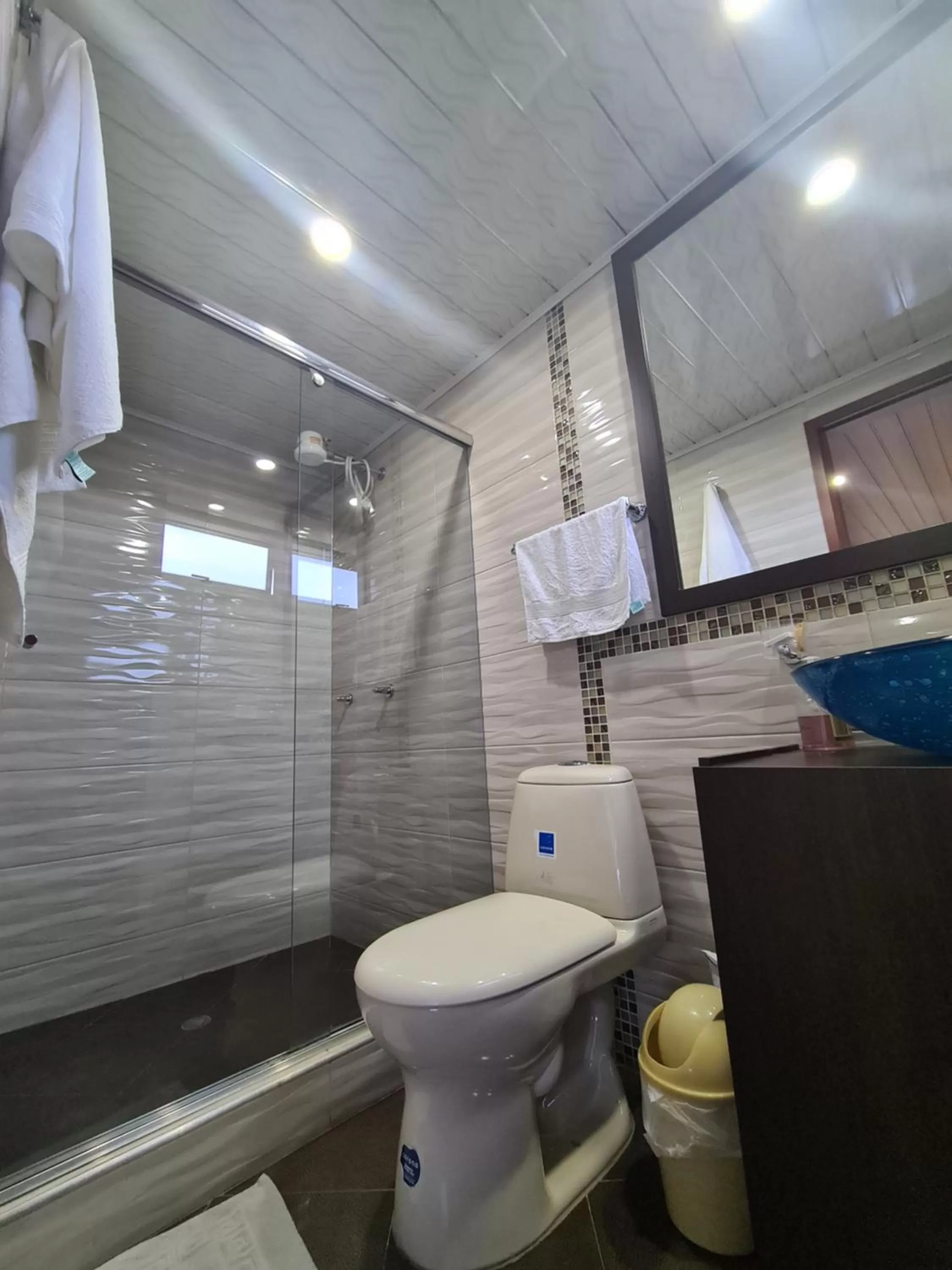 Bathroom in Hotel Casa Huesped Kiwi