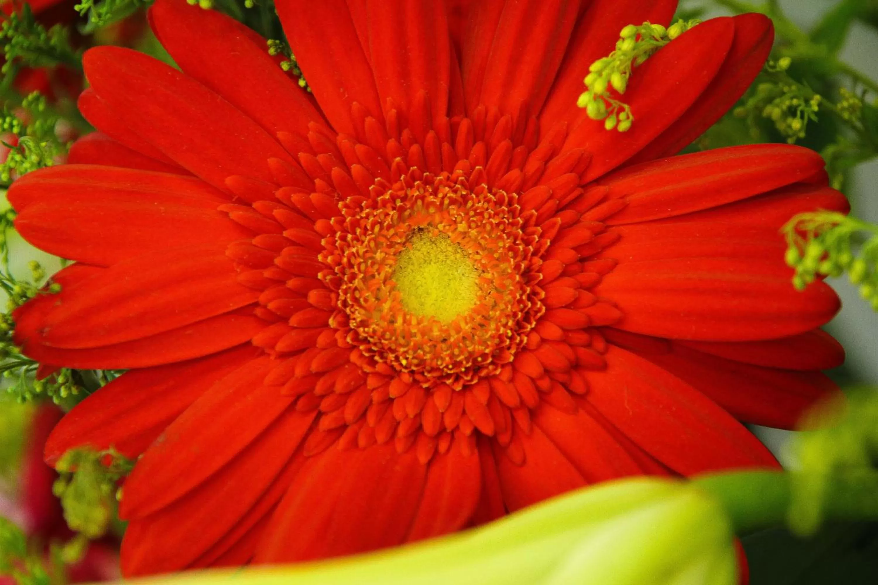 Decorative detail in Hotel Rasah Seremban