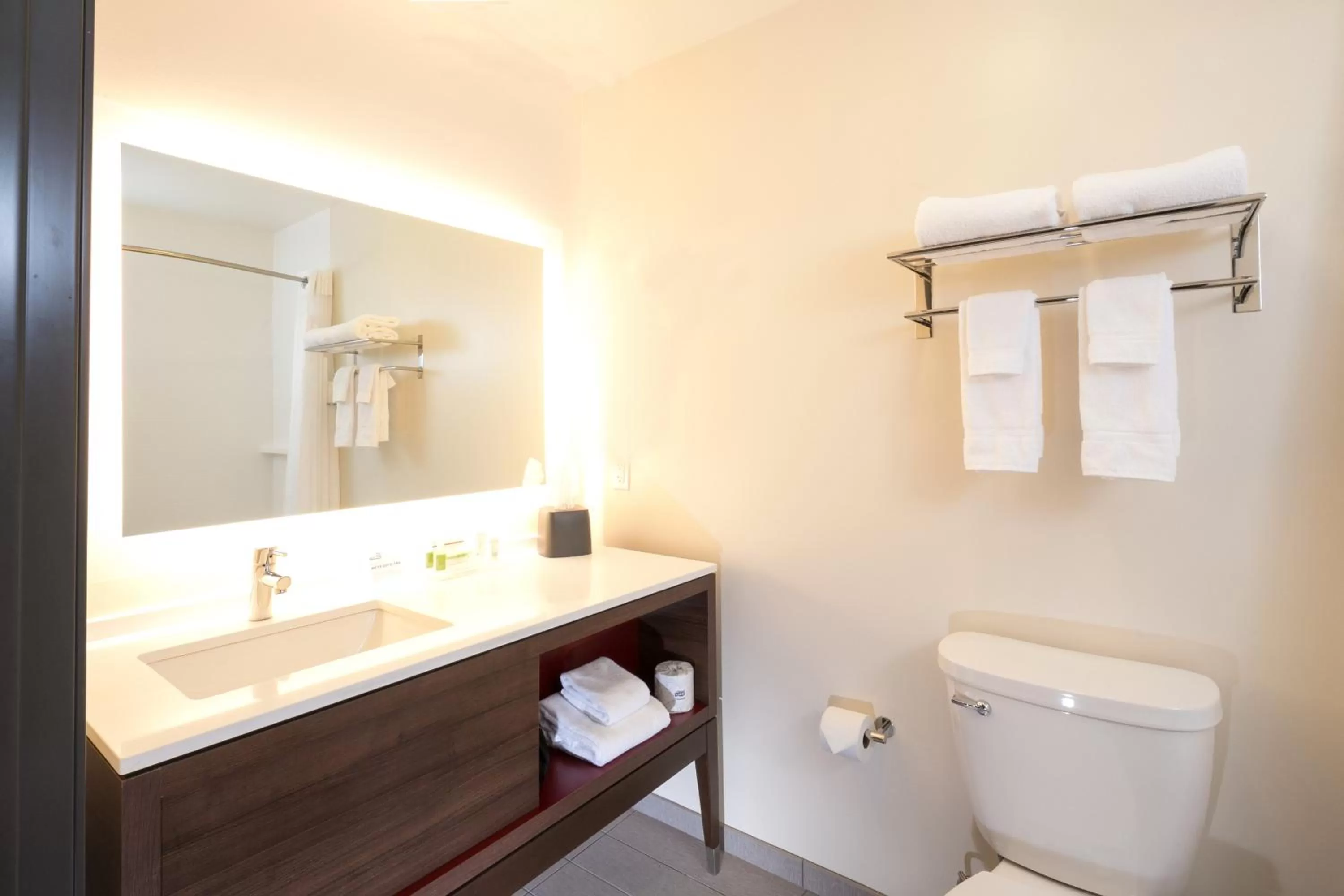 Bathroom in Holiday Inn Hotel & Suites - Mount Pleasant by IHG